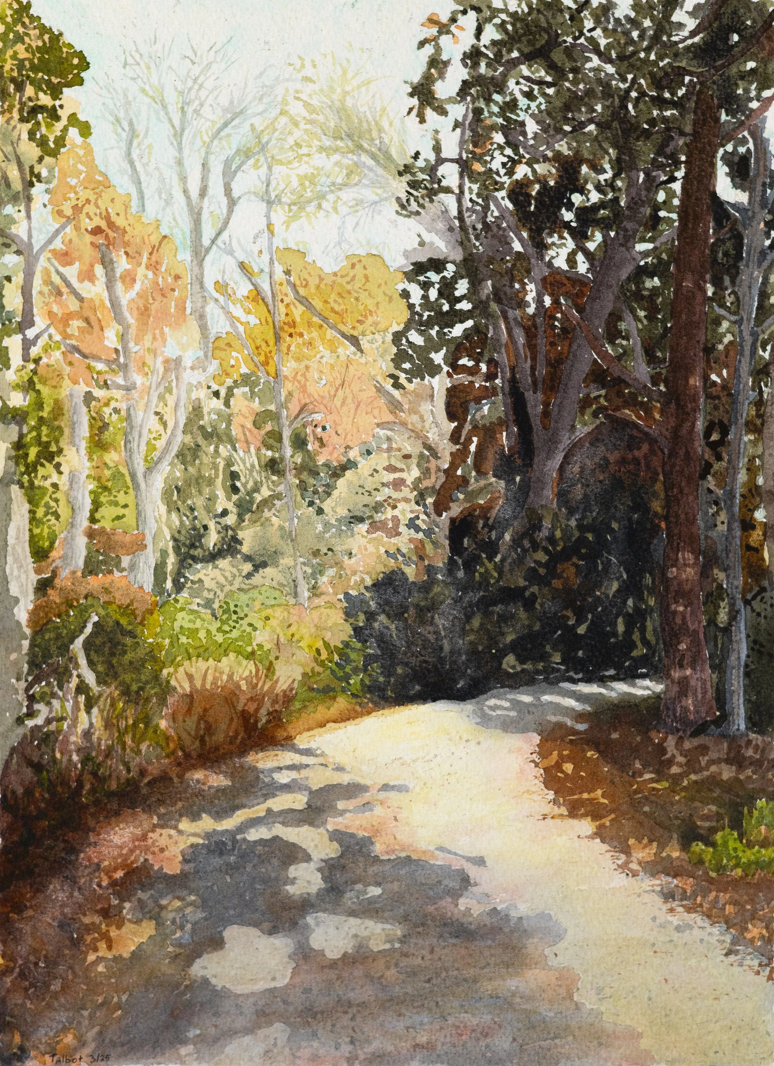 Gravel Road 1, St. Francisville, LA