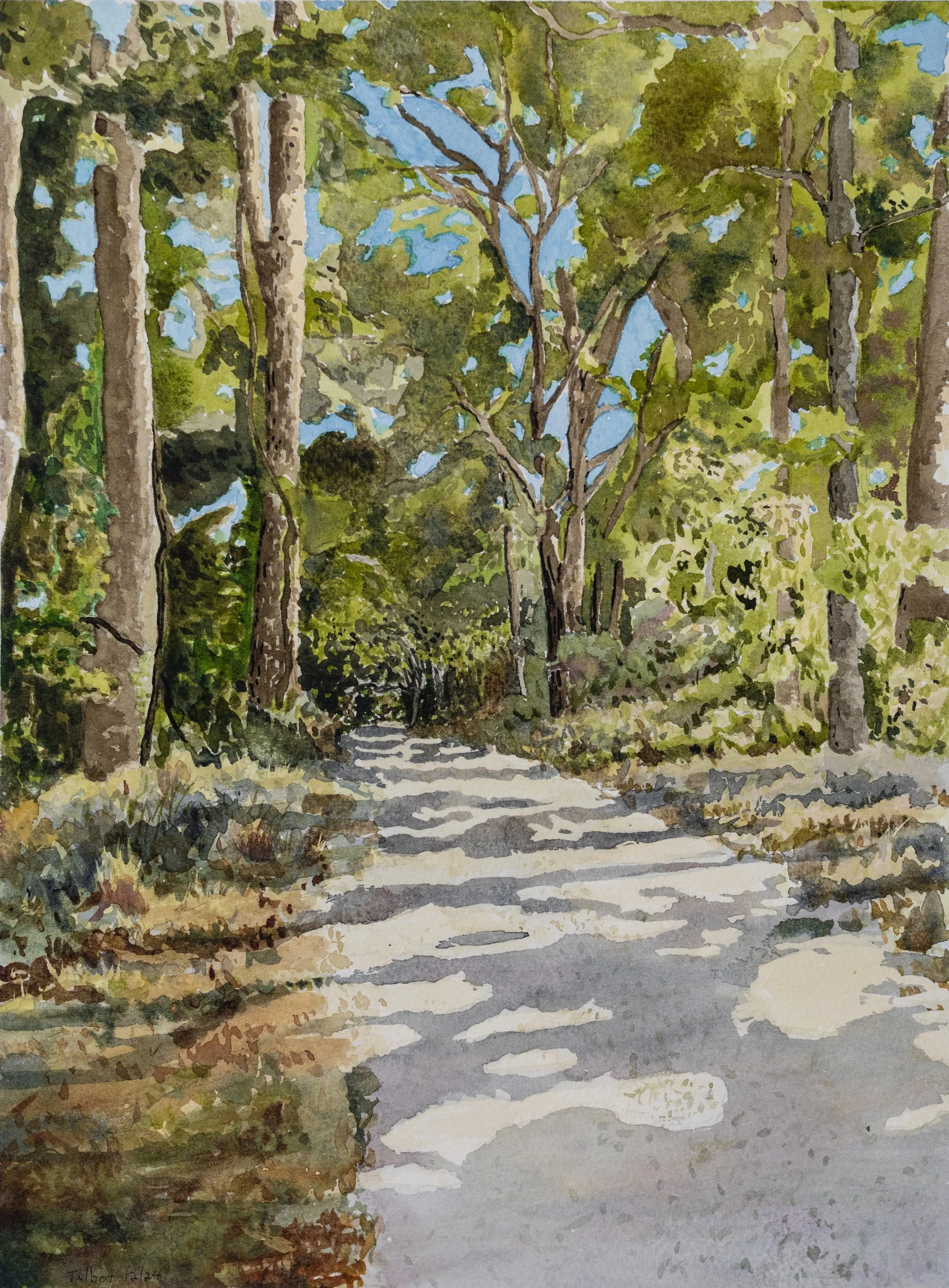 Gravel Road 2, St. Francisville, LA