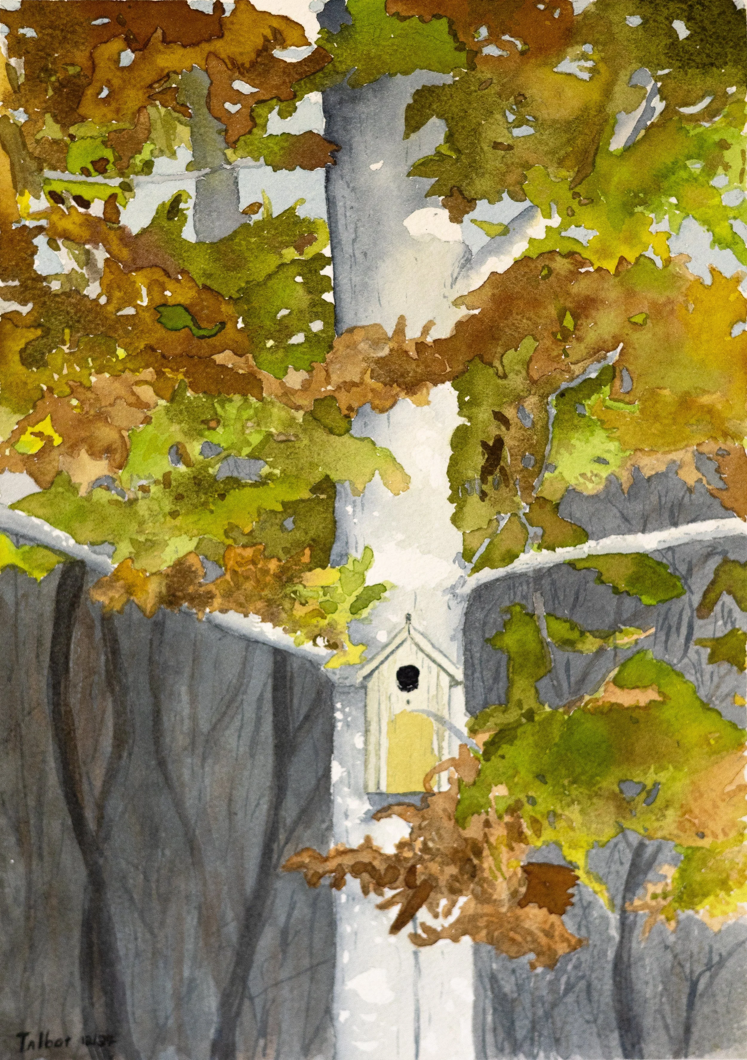 Birdhouse on Tree