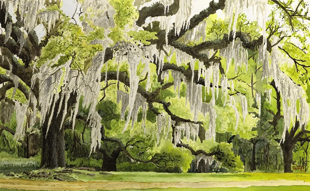 Afton Villa Oak with Moss