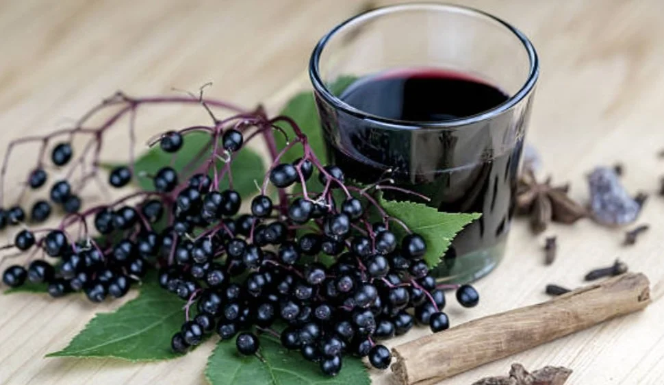 Autumn Apothecary: Elderberry Syrup