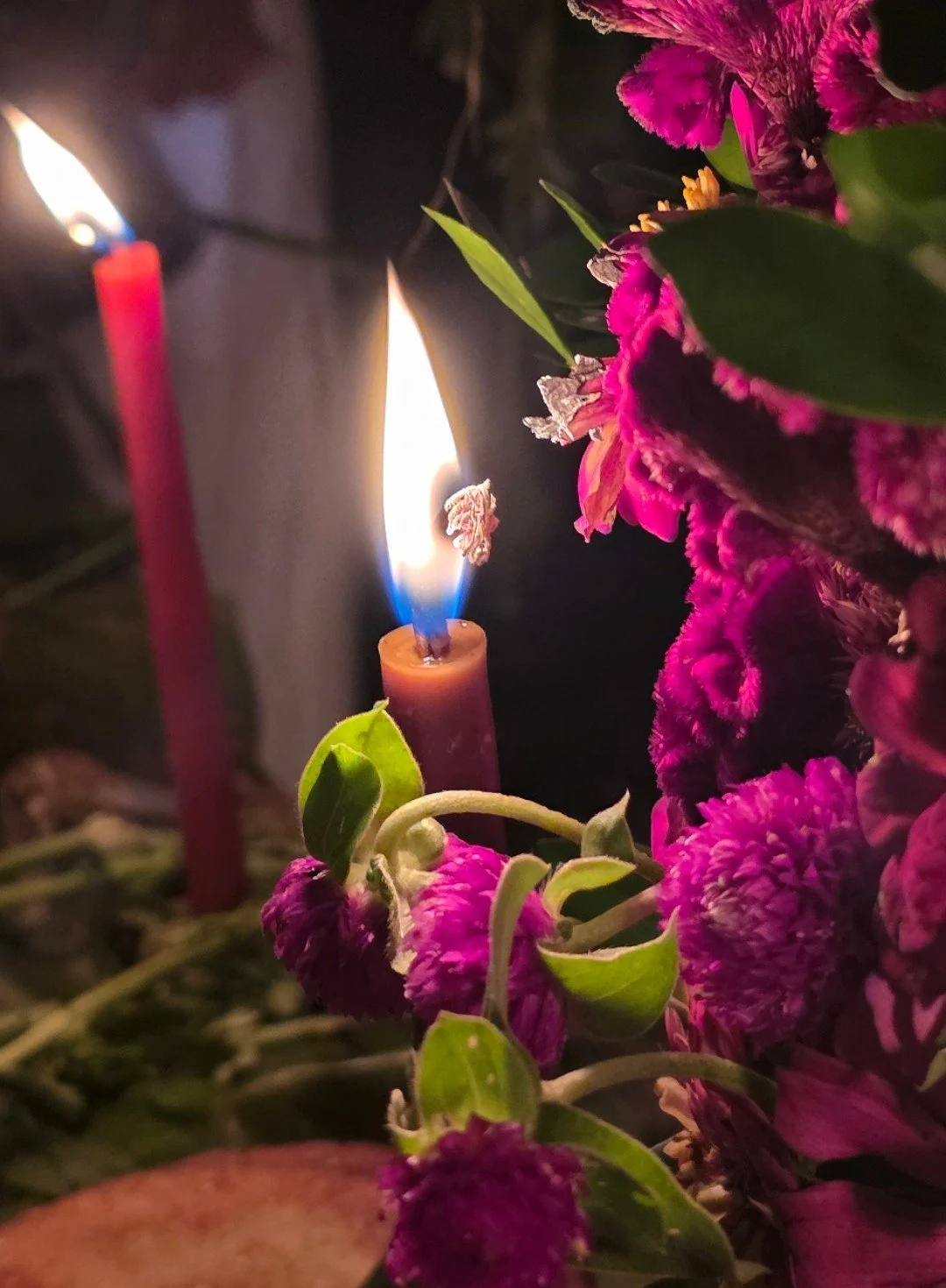 The Stories We Carry - A Day of the Dead Gathering at Agape Apothecary