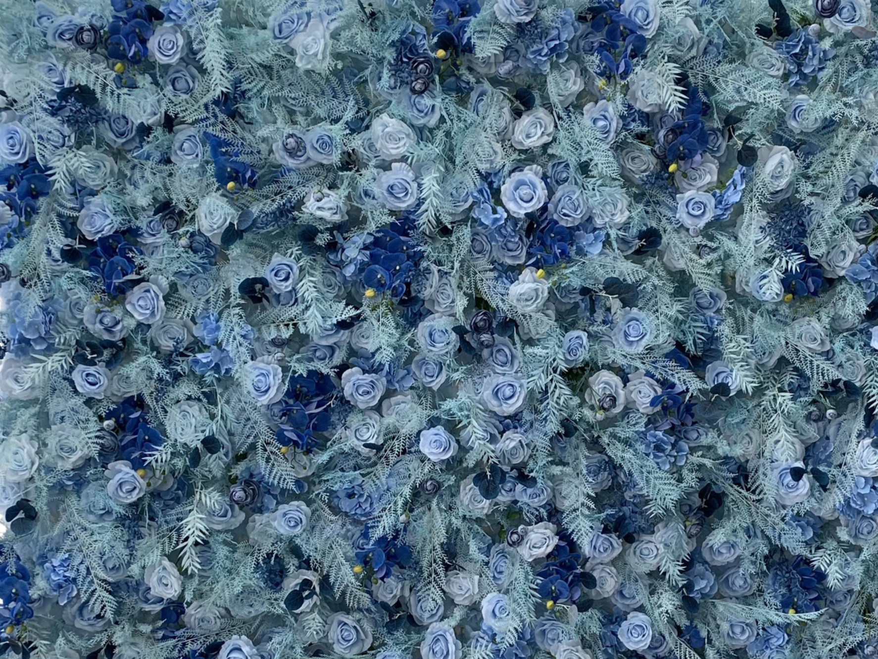 flowerwalls in Moncton new brunswick