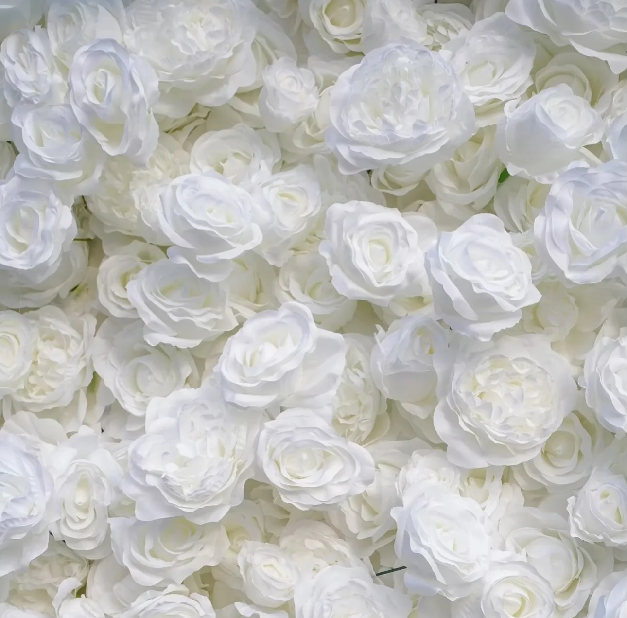 White Flowerwall