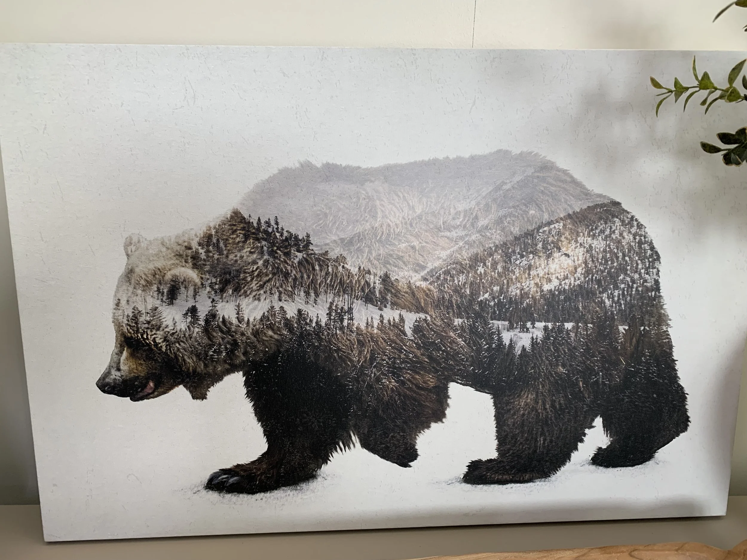 The Kodiak Brown Bear