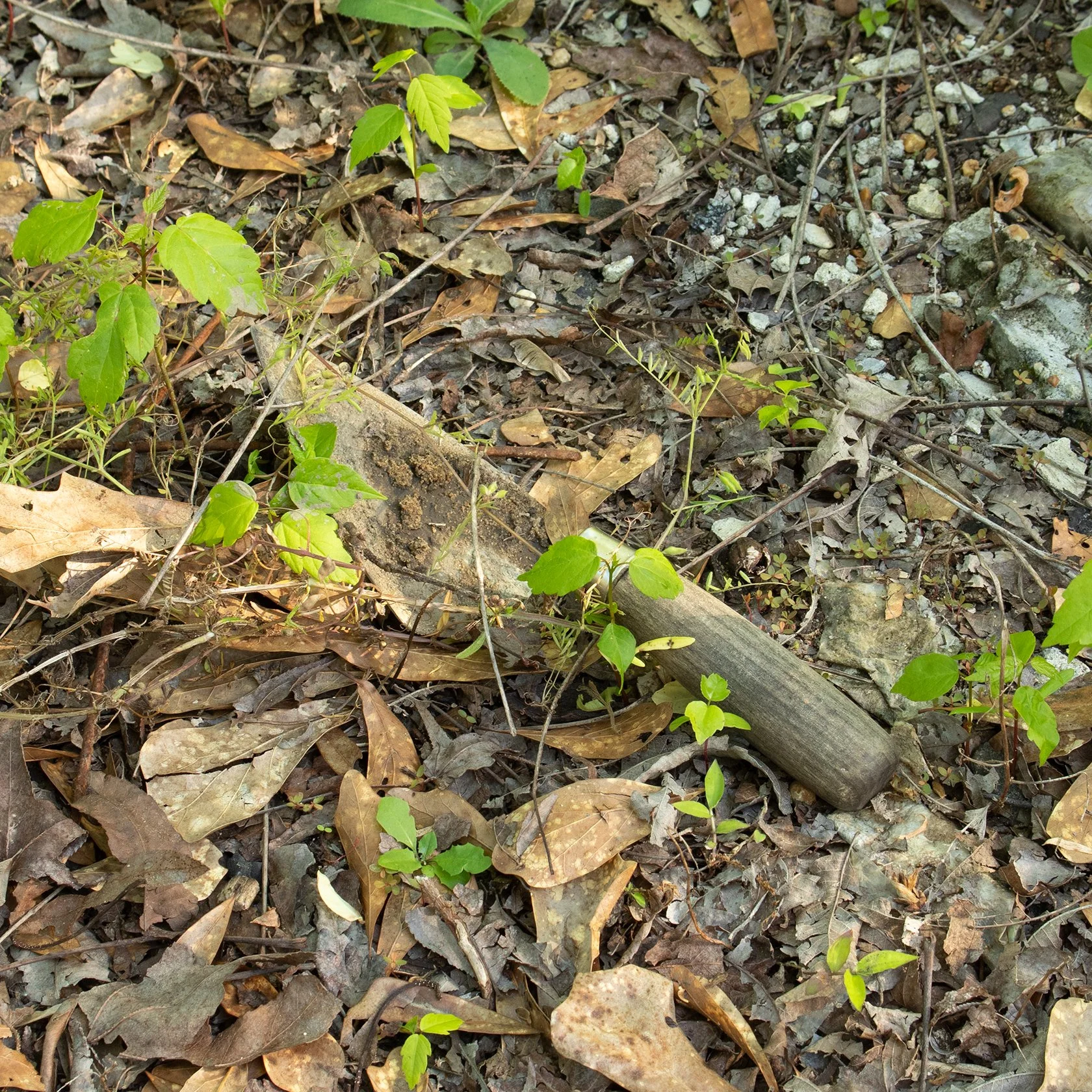 _MG_4834.jpg
