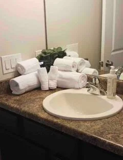 Bathroom countertop with neatly rolled white towels, a small potted plant, and a soap dispenser next to a bathroom sink.