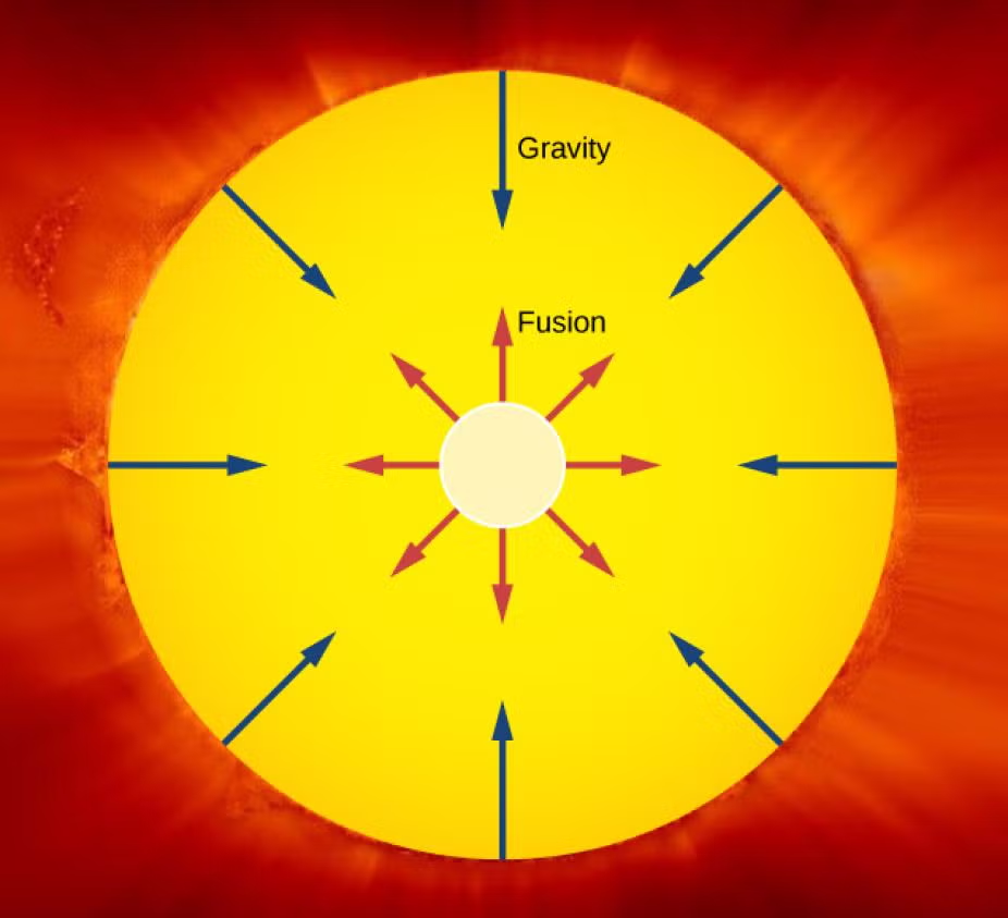 The Physics of the Sun
