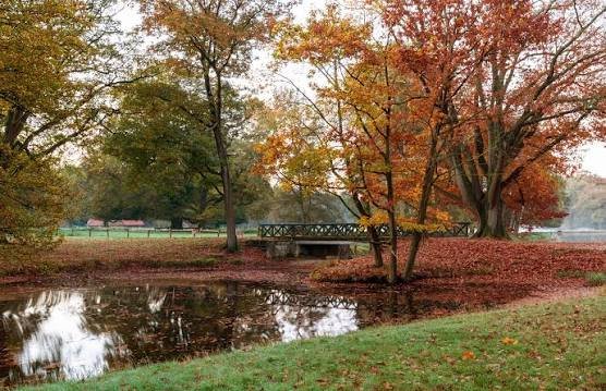 El equinoccio de otoño: cómo el espacio da formaa nuestras estaciones