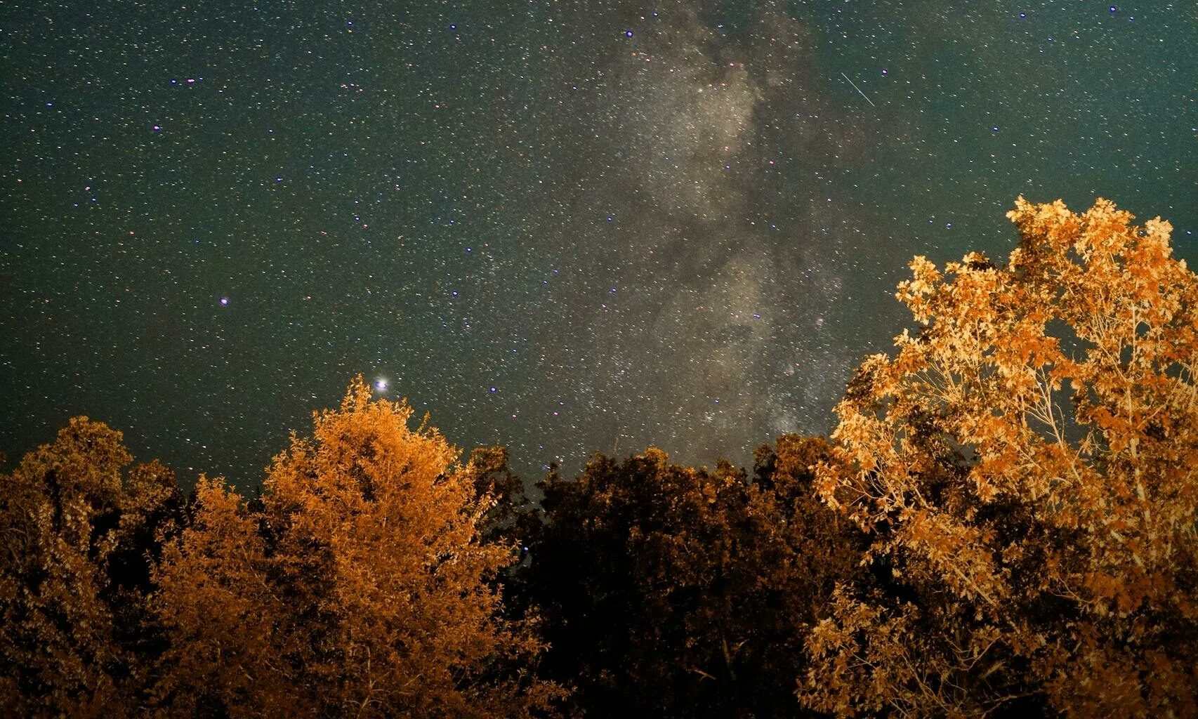 The Arrival of Autumn