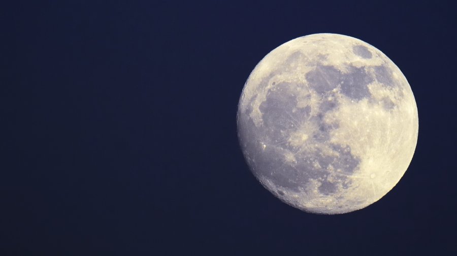 Looking Up to the Moon