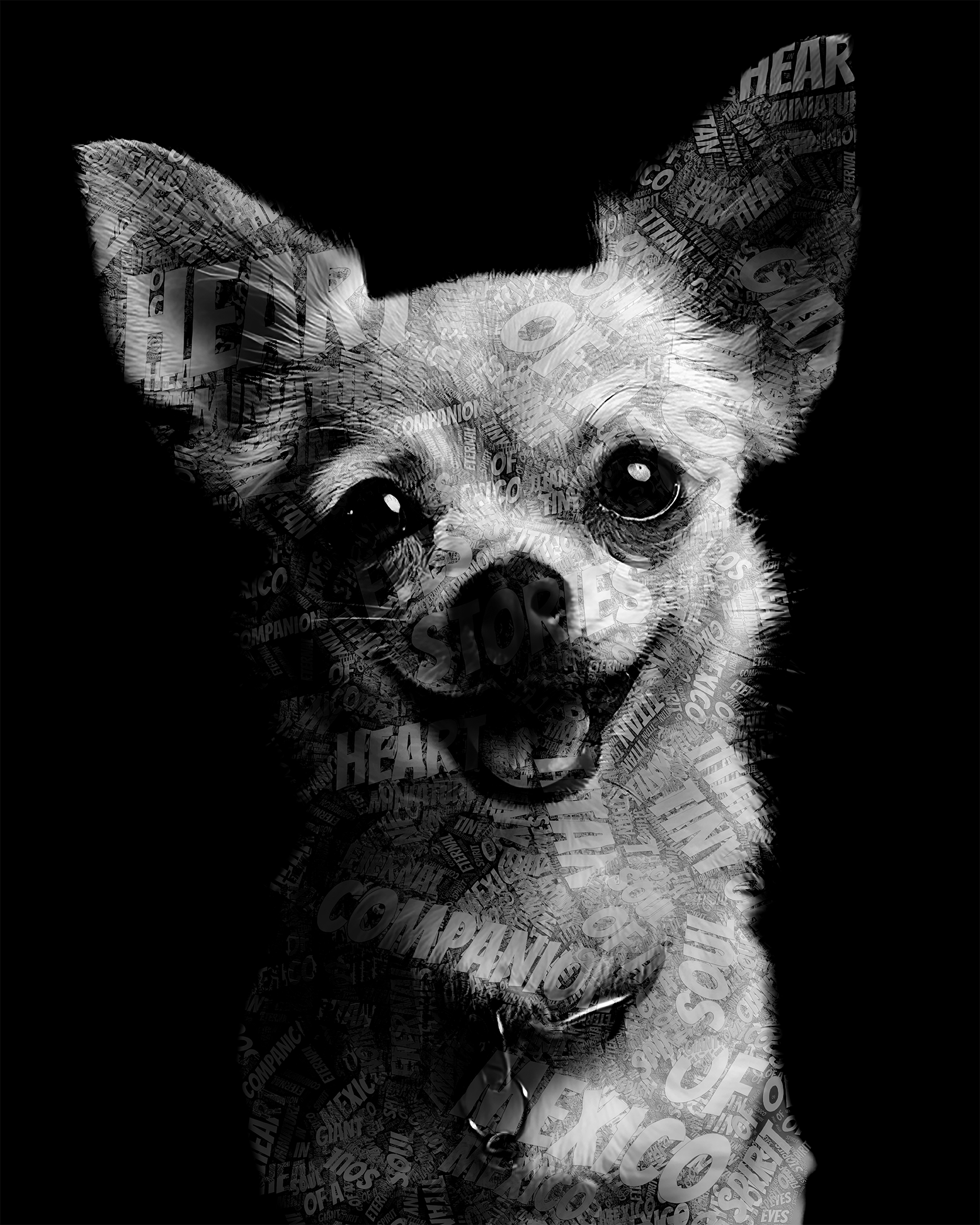 Chihuahua Words web.png