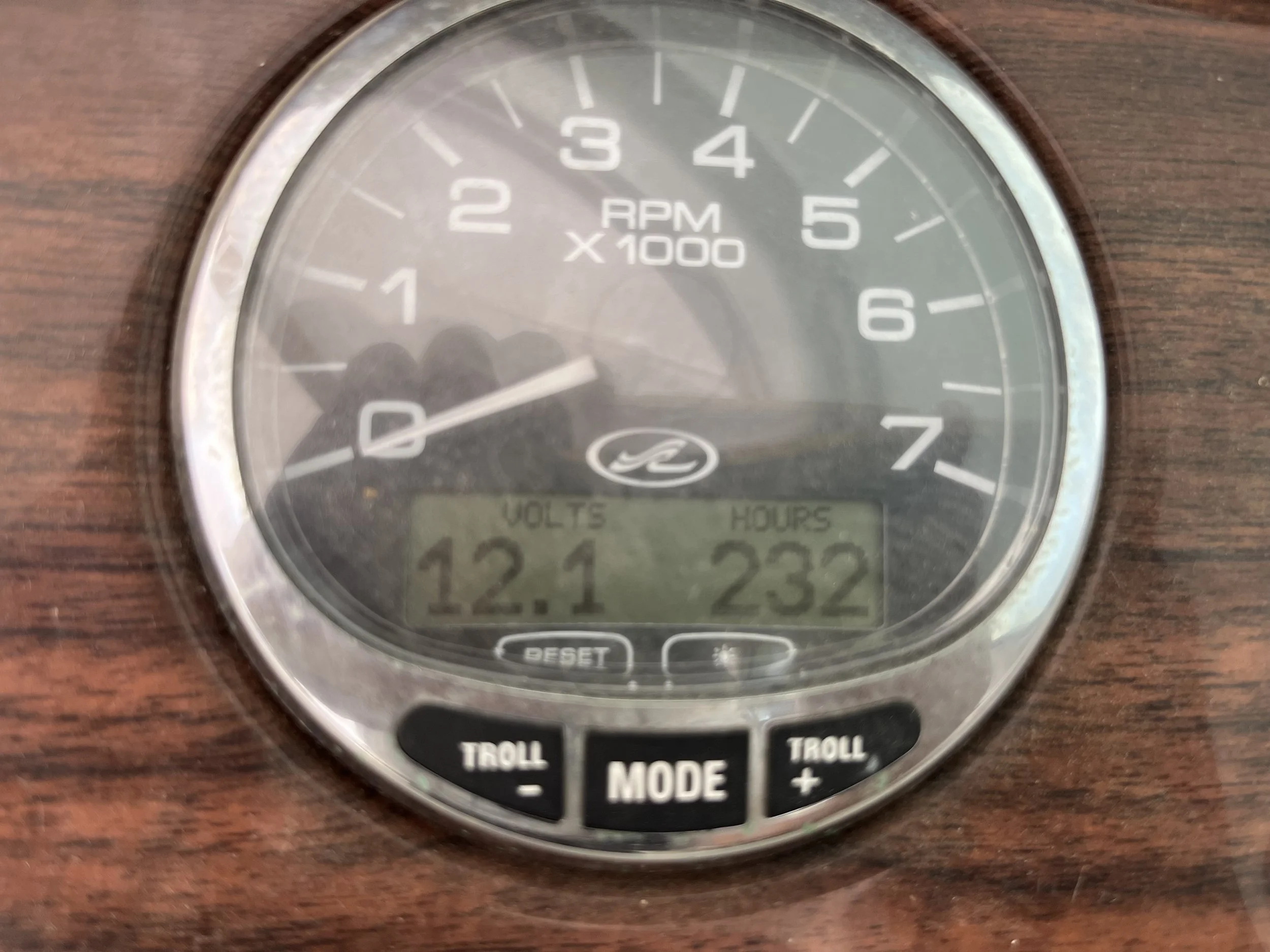 IMG_6036.jpeg