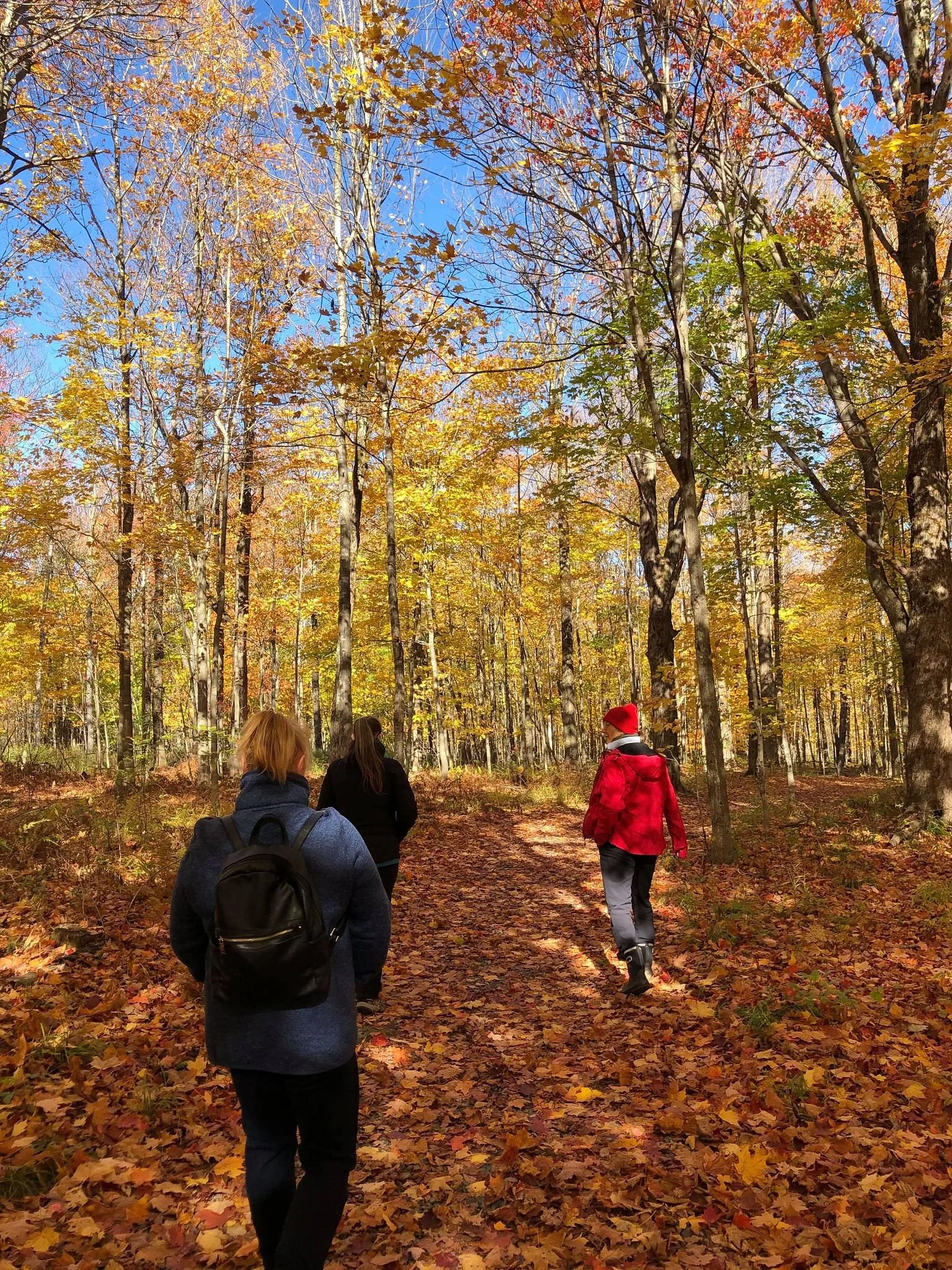 Spa-Eastman-marche-automne.jpg