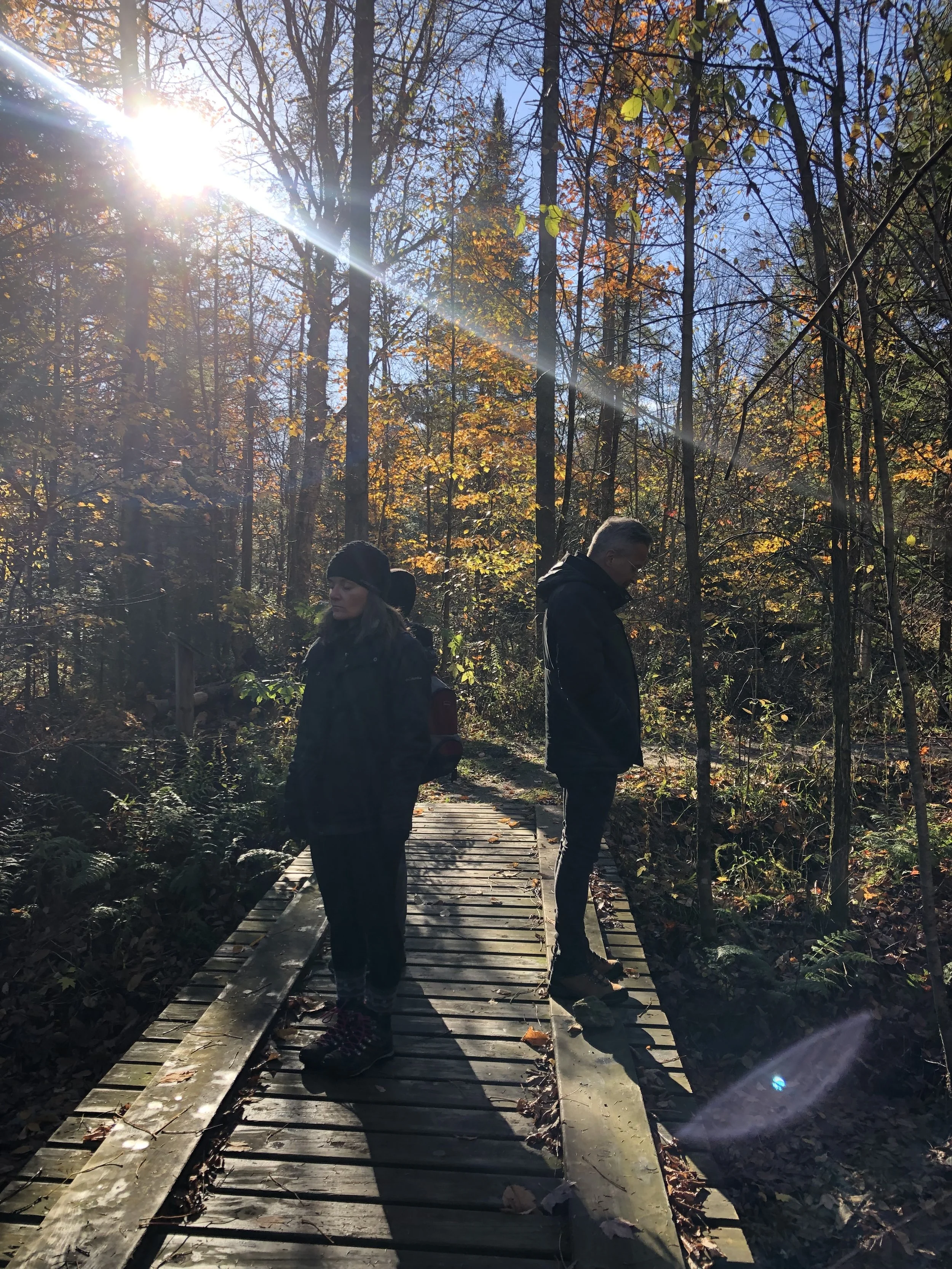 MARCHE EN FORÊT.jpeg