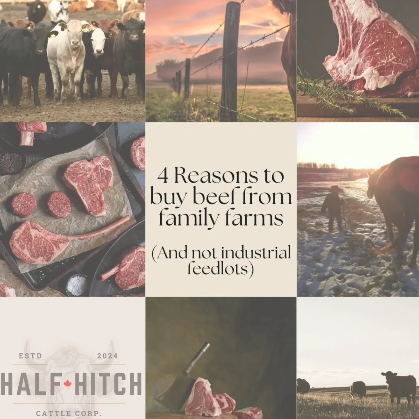 🥩➡️ Do you know how much low quality feed and hormones go into feedlot, massed produced cattle? Hint: its a lot. 

(If youre curious, compare ground beef from wal mart to your local butcher) 

🥩➡️ Nutrition starts with the quality of what you're co