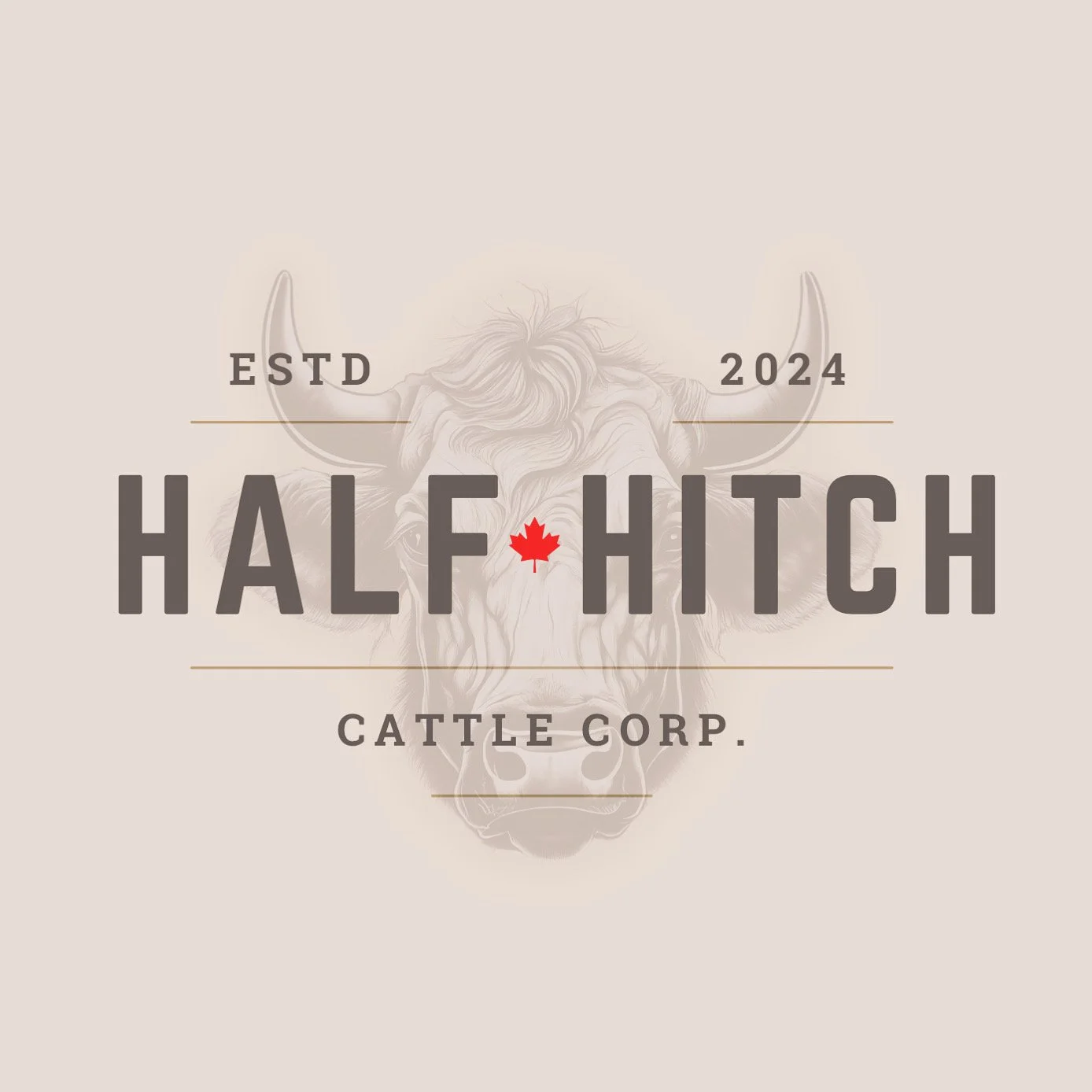 Logo for Half Hitch Cattle Corp. with a stylized sketch of a buffalo's face in the background. The text reads 'ESTD 2024', 'Half Hitch', and 'Cattle Corp.', with a red maple leaf replacing the 'A' in 'Hitch'.