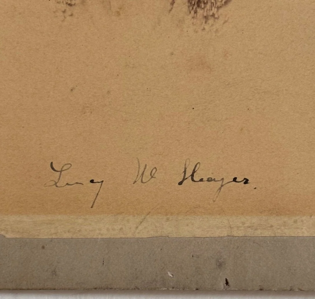 Hayes Lucy SP 6479 closeup.jpg