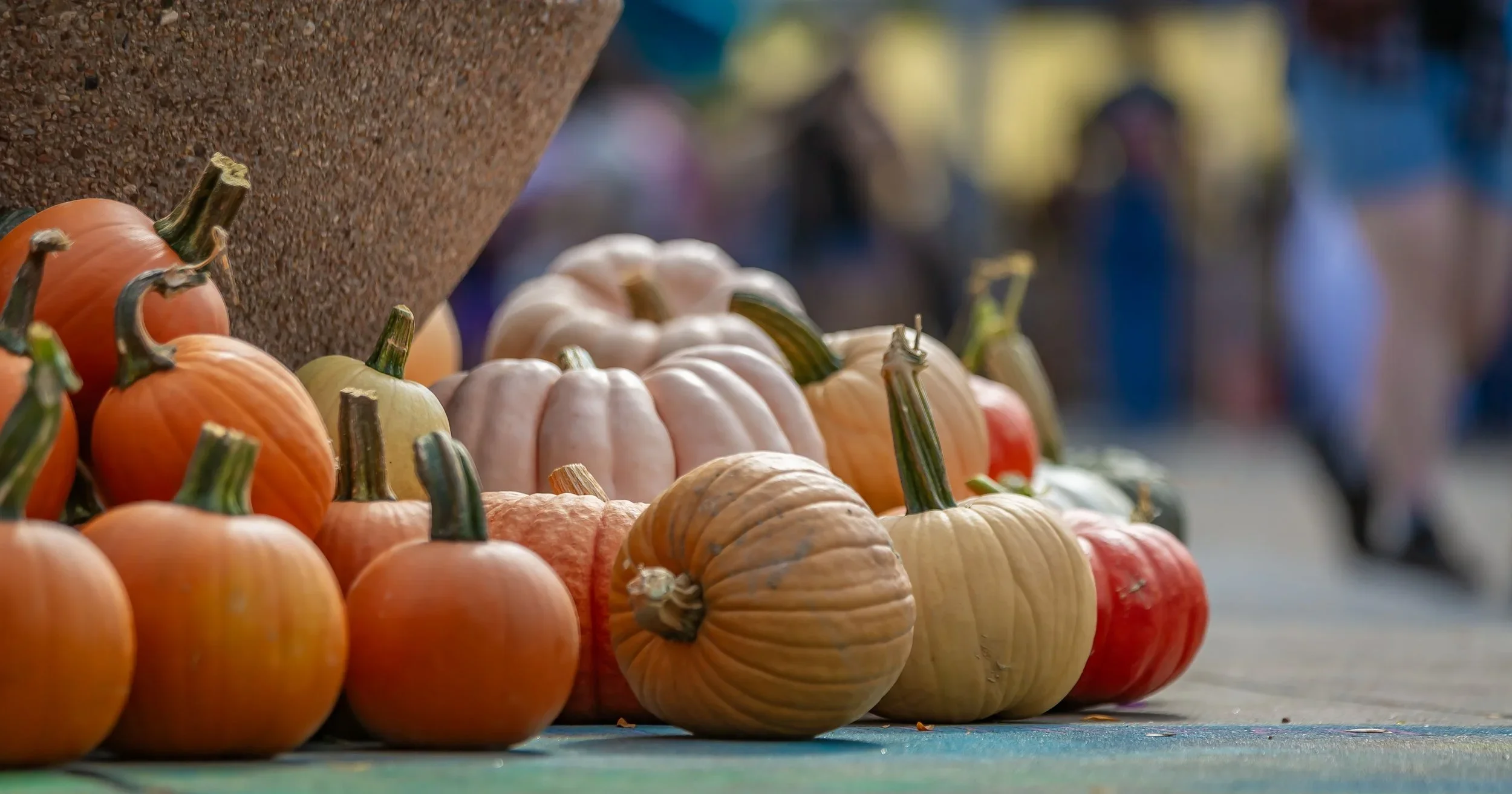The Big Squash: An Annual Pumpkin Festival