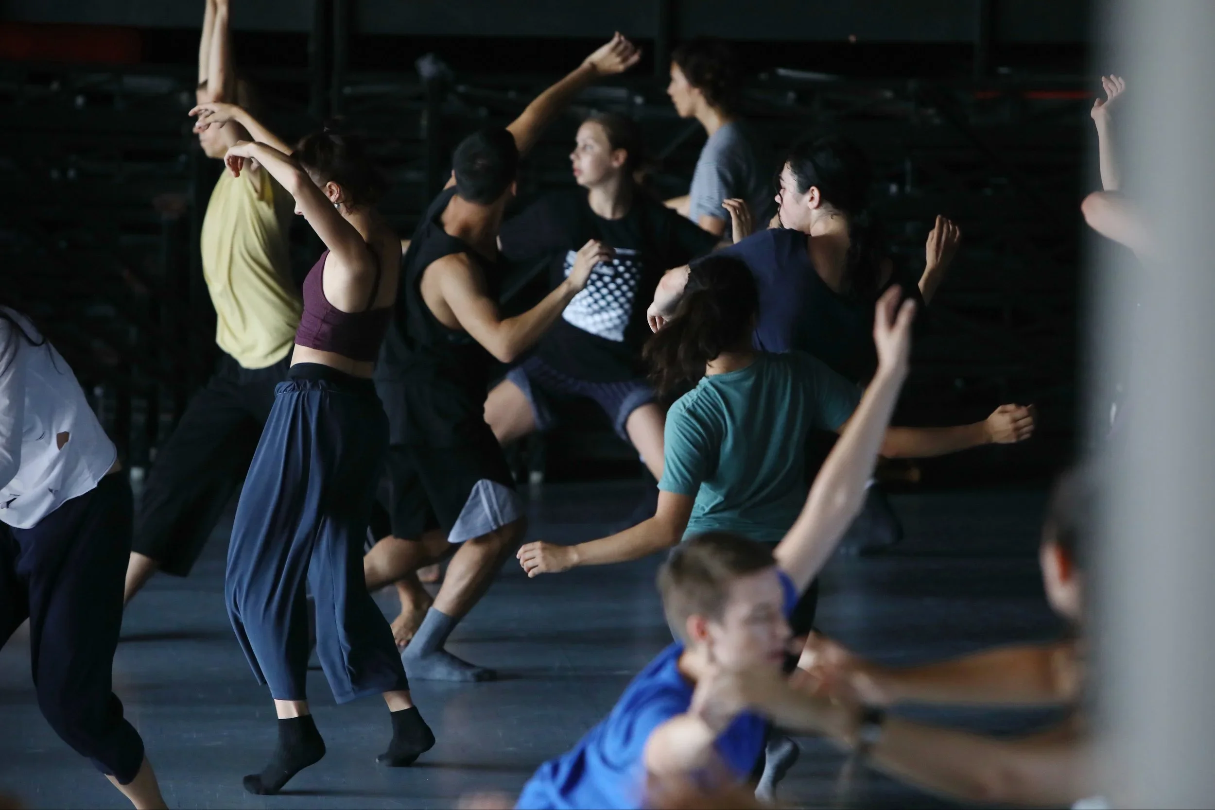 Forms Forum: Gaga (Dance & Language Movement)