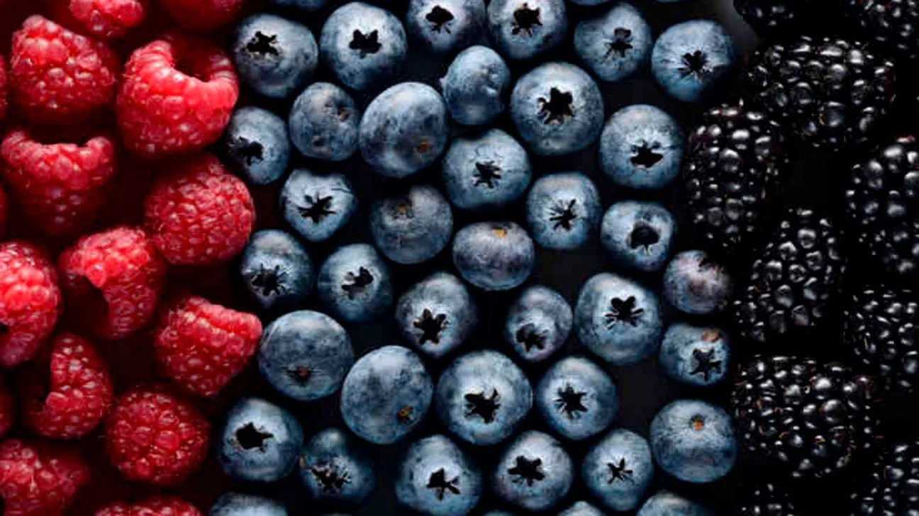 A Berry Good Time ‘26