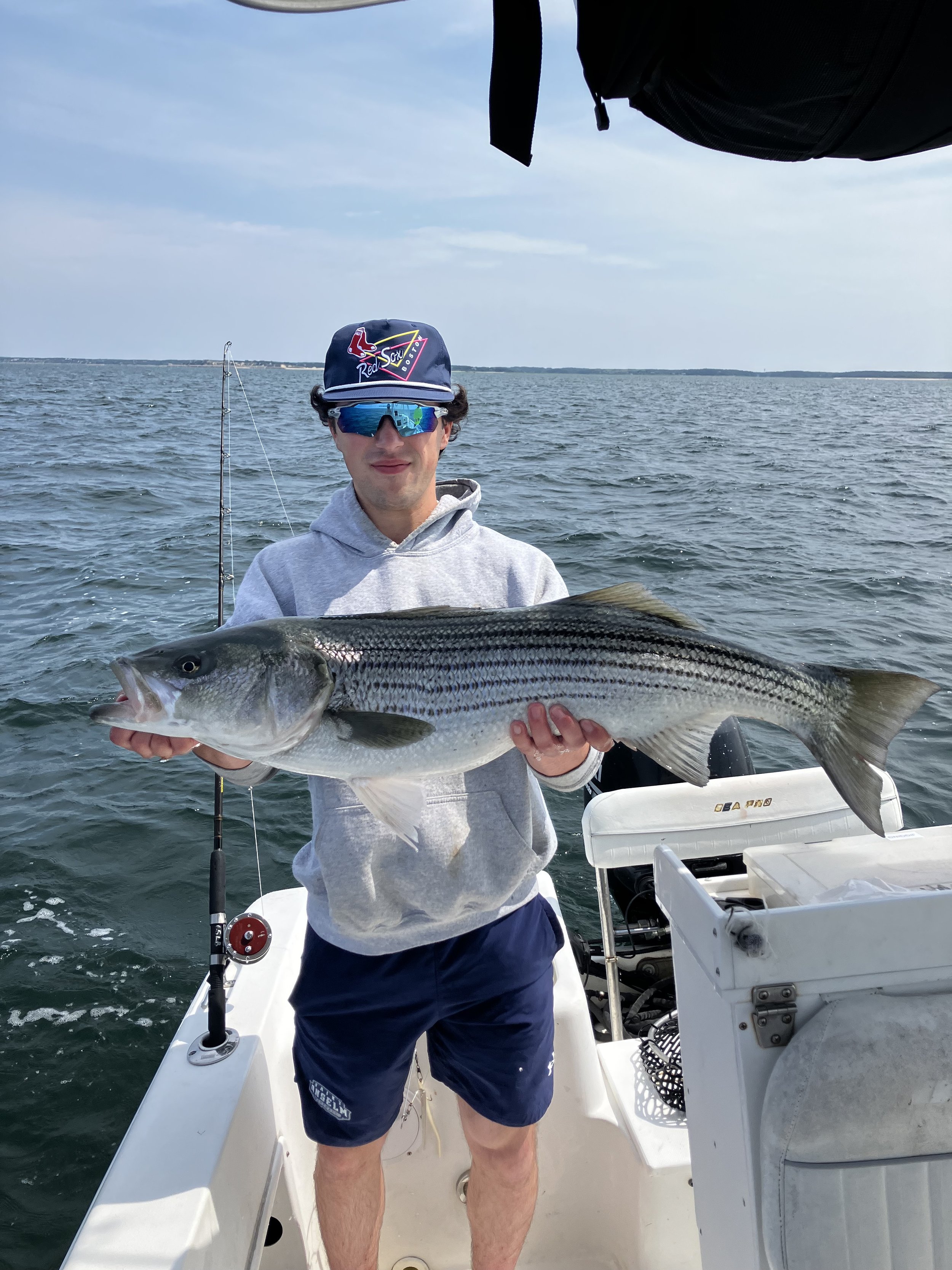 A man on a boat holding a large striped bass fish with a scenic water background.