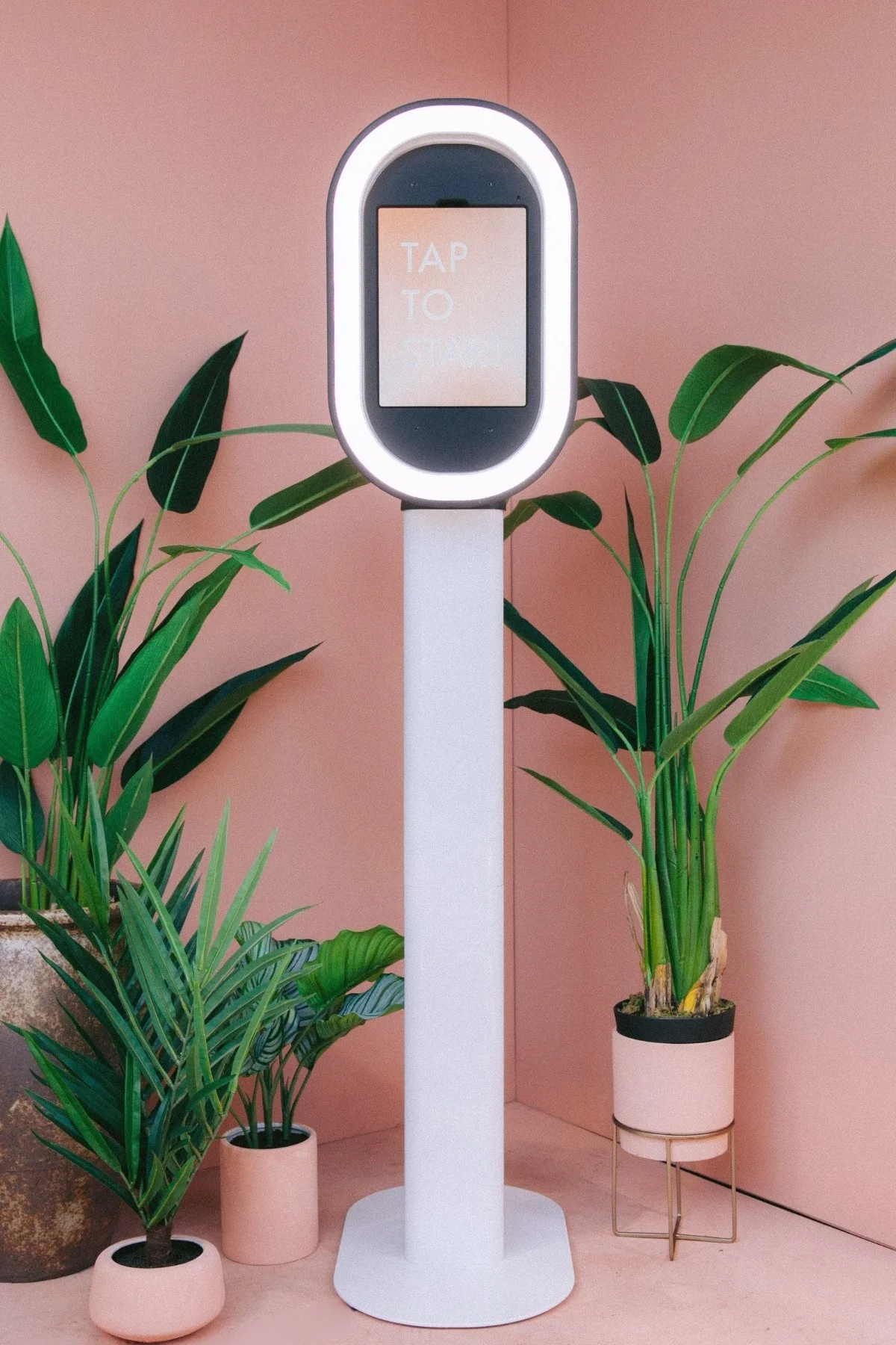 A sleek, white standing kiosk with a digital screen displaying 'TAP TO STAY' against a pink wall. Two large green potted plants are positioned on either side of the kiosk.