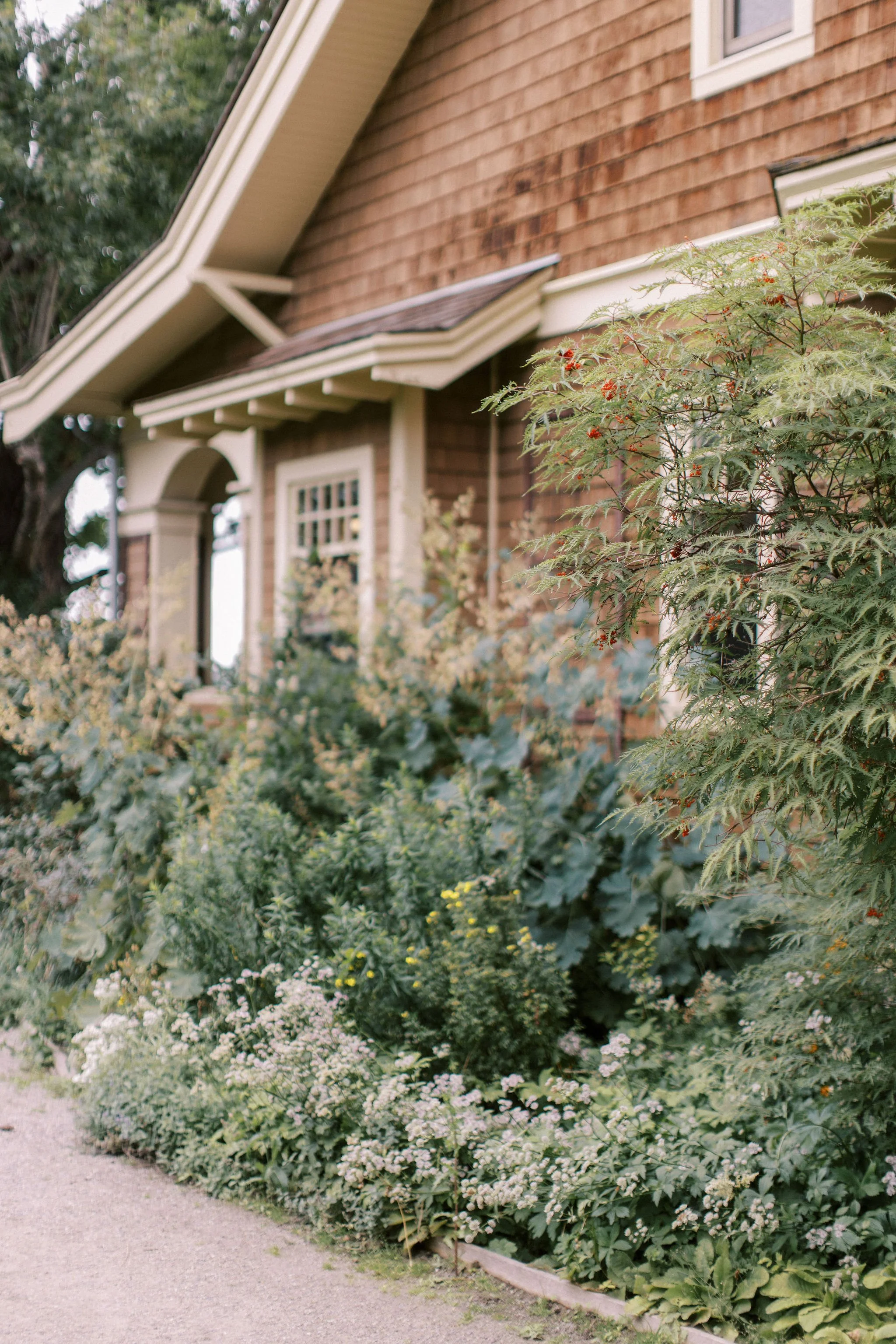 Front yard garden with various green plants and flowers, next to a brick house with a window and roof overhang.