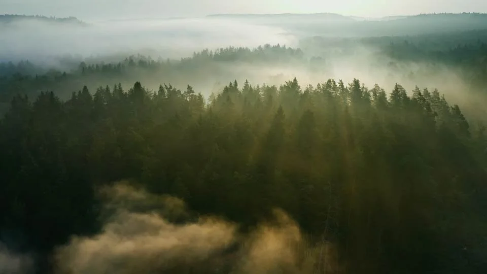 0_Misty_Misty_Morning_3840x2160 (0-11-23-01).jpg