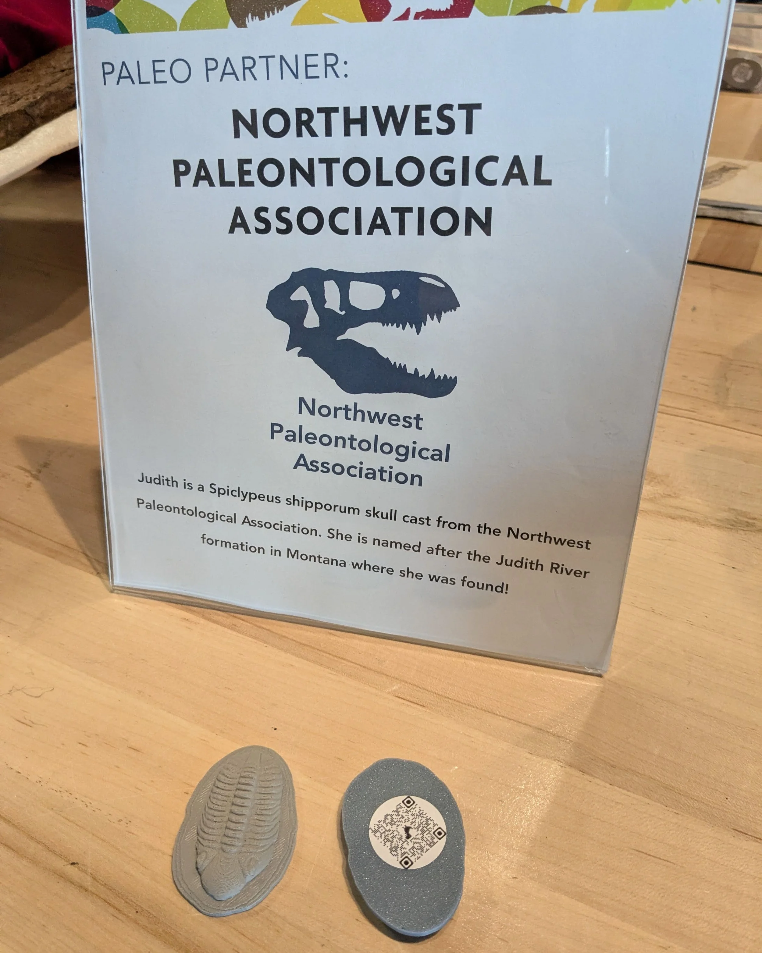 January Meeting recap and what’s next