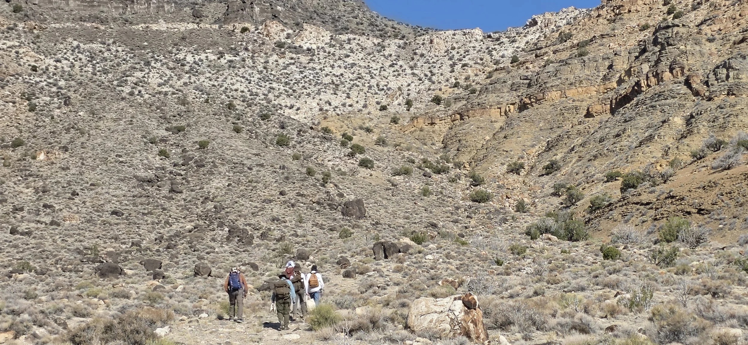 Field Trip From the Cambrian to the Eocene