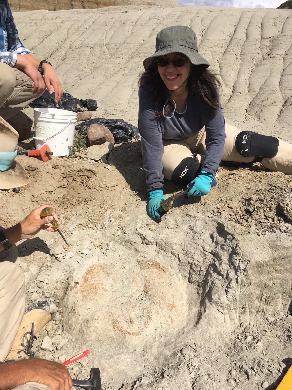 Dinosaur Dig NPA member