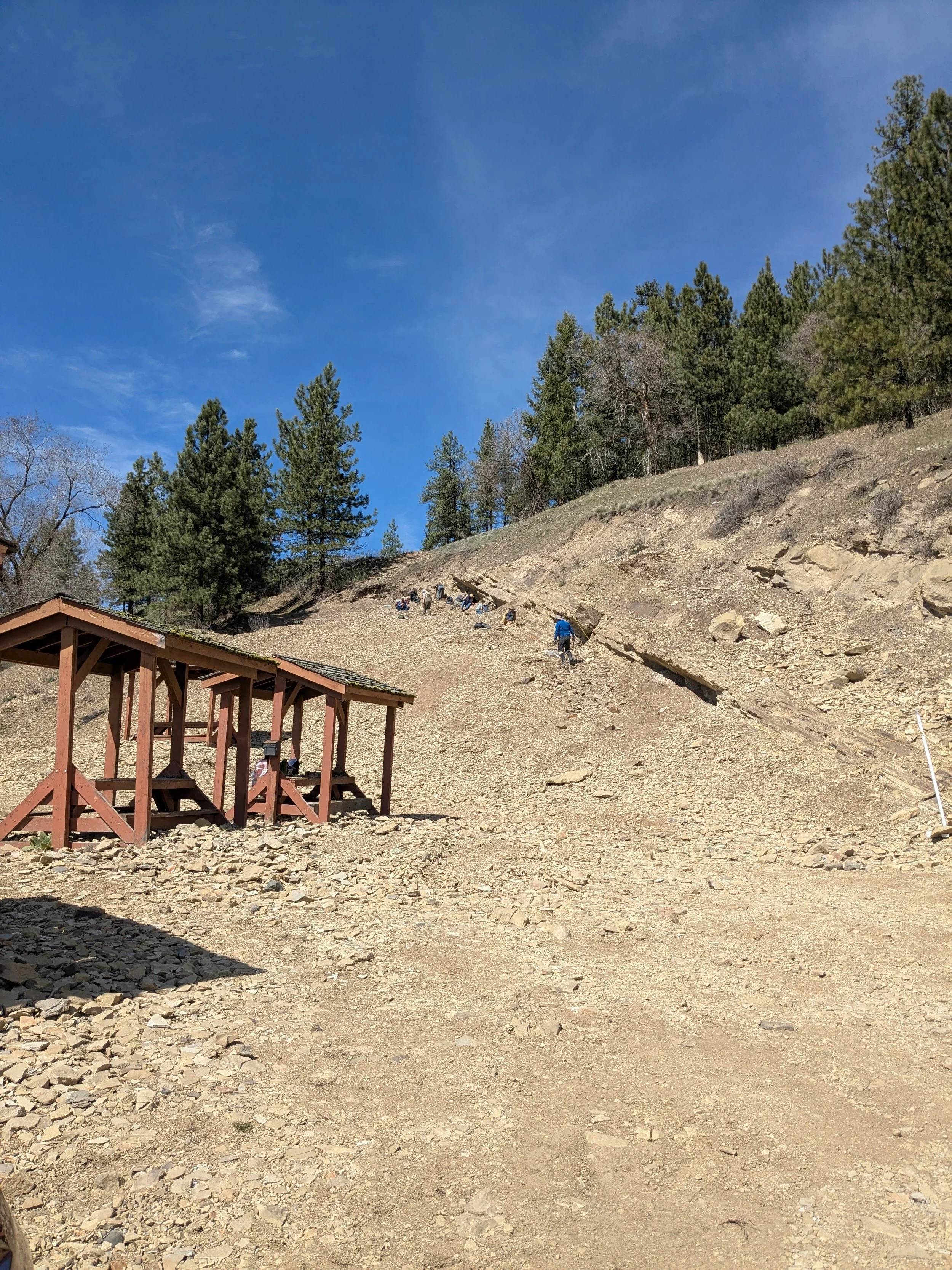 Stonerose fossil site with members digging for fossils