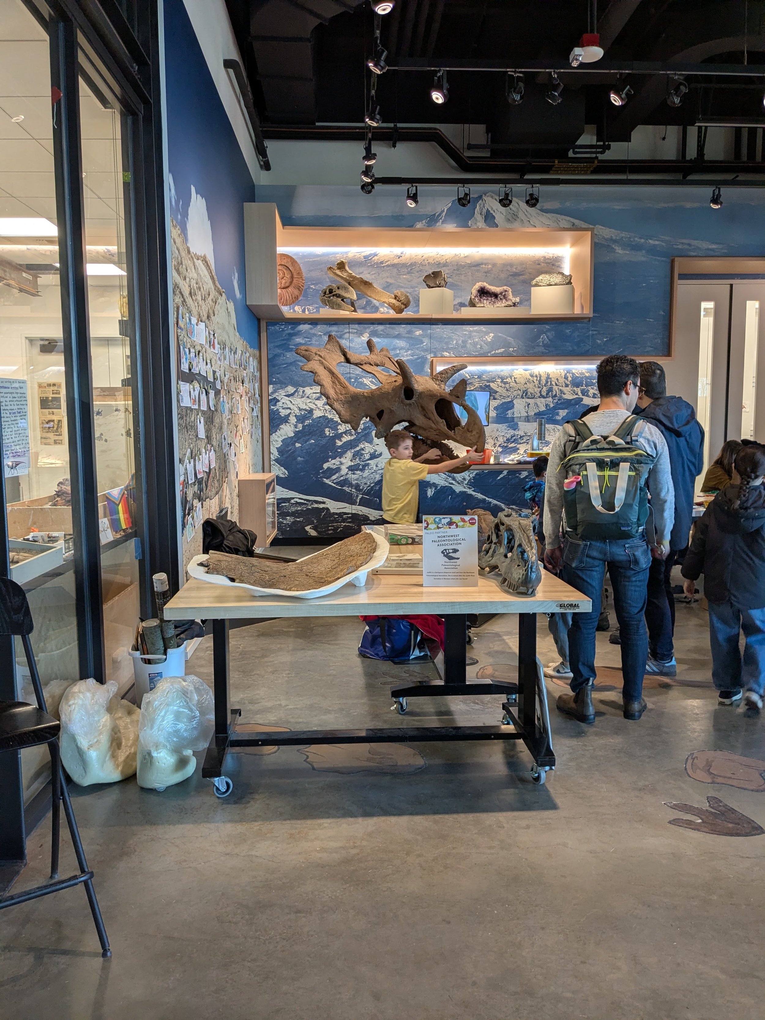 Judith Ceratopsian at the Burke