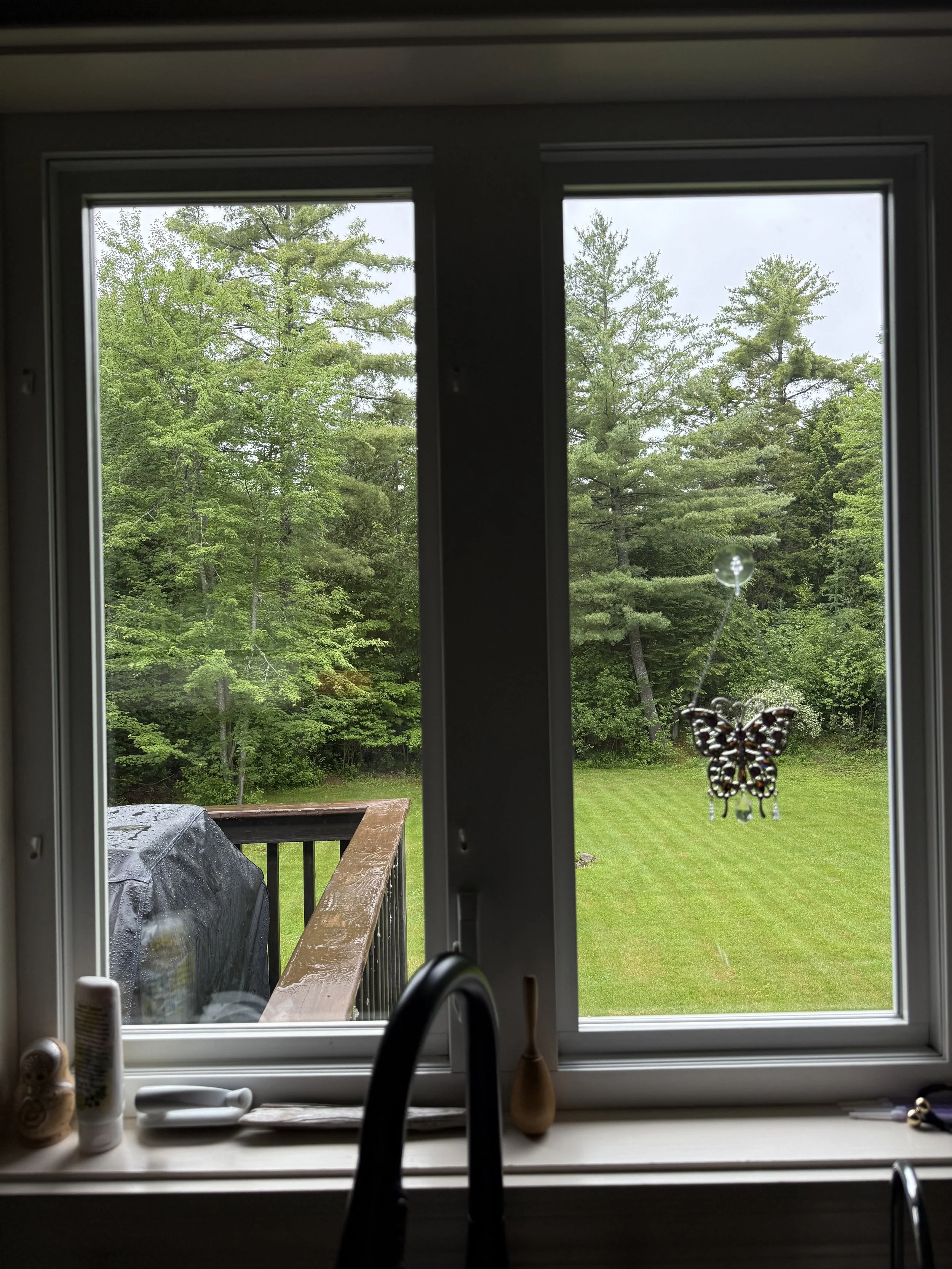 The Gift of the Window
