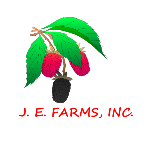 2025 Sponsors (2).png
