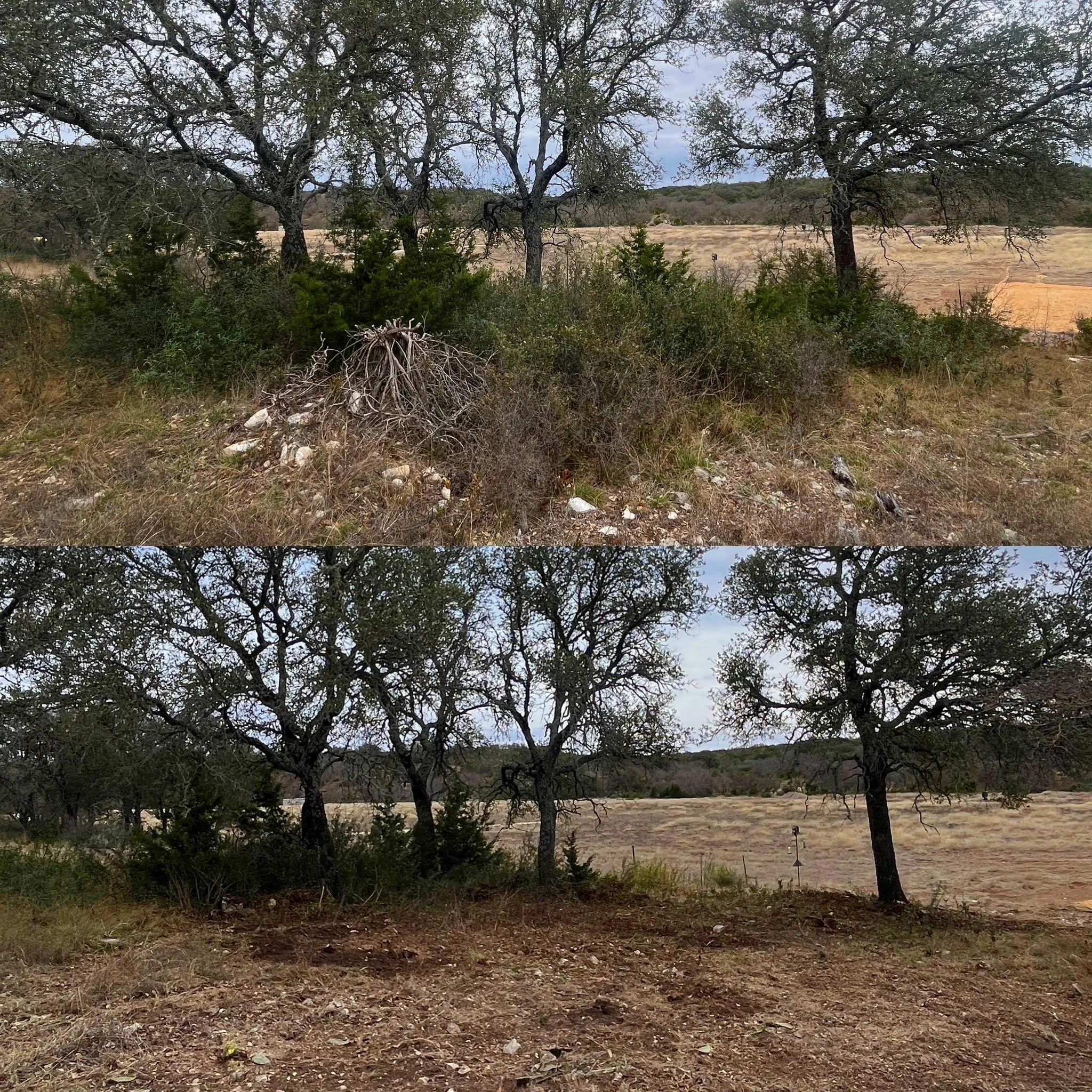 Two panoramic images of a dry, grassy, tree-filled landscape with scattered bushes and large trees, under a cloudy sky.