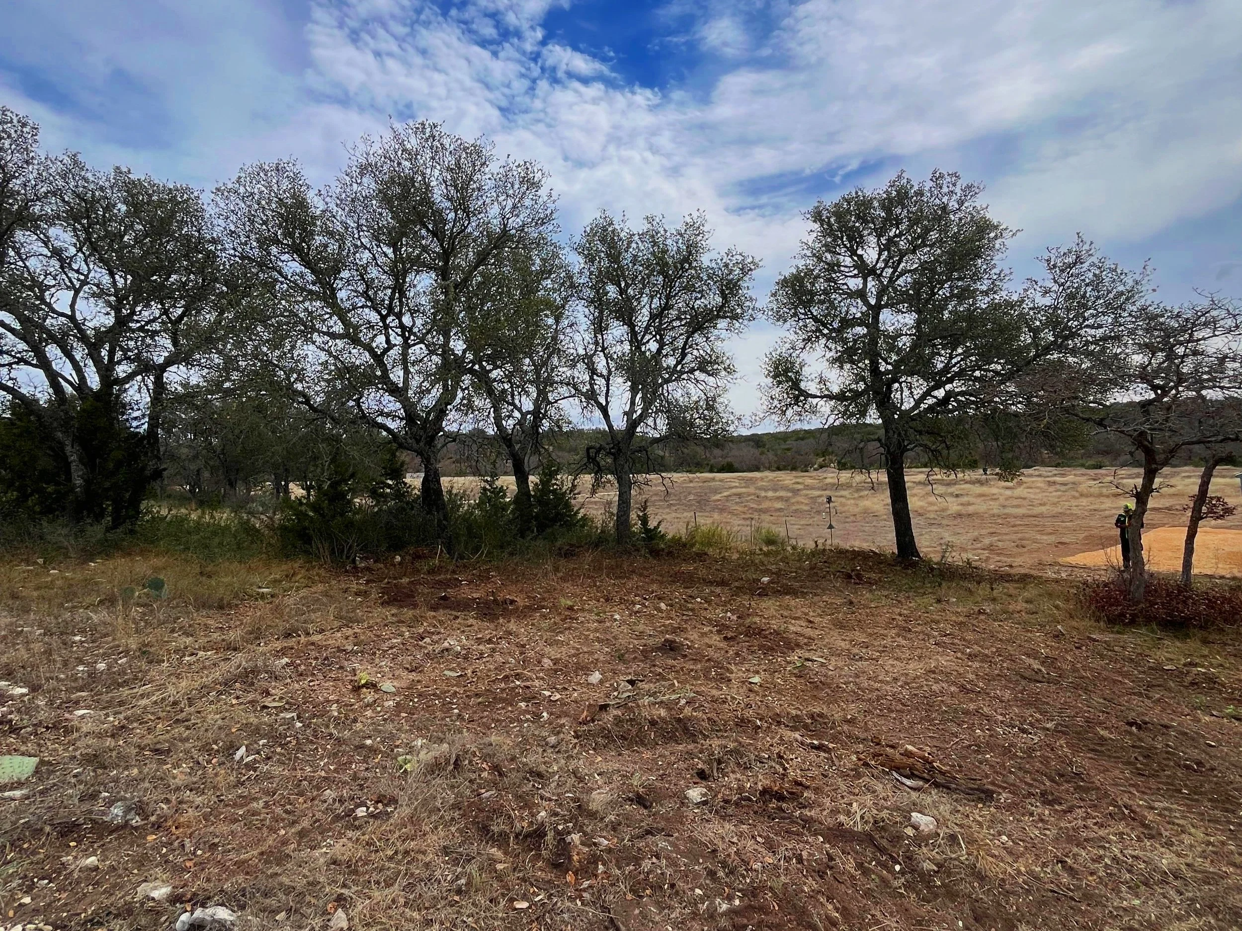 Dry dirt and sparse grass with a few trees on a cloudy day