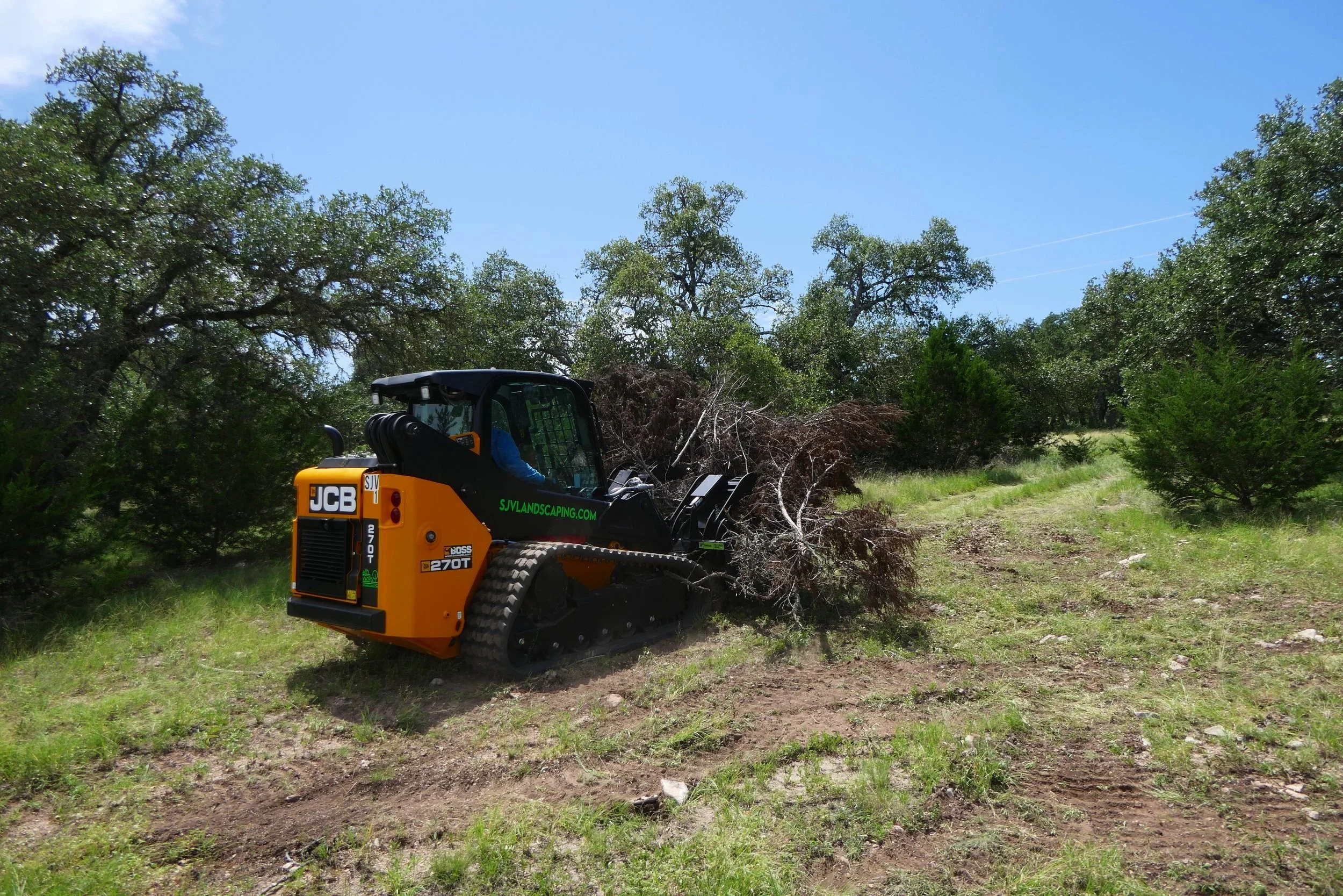 A small orange and black JCB compact excavator with tracks, working on land with sparse grass, dirt, and small plants, near green trees and a clear blue sky.
