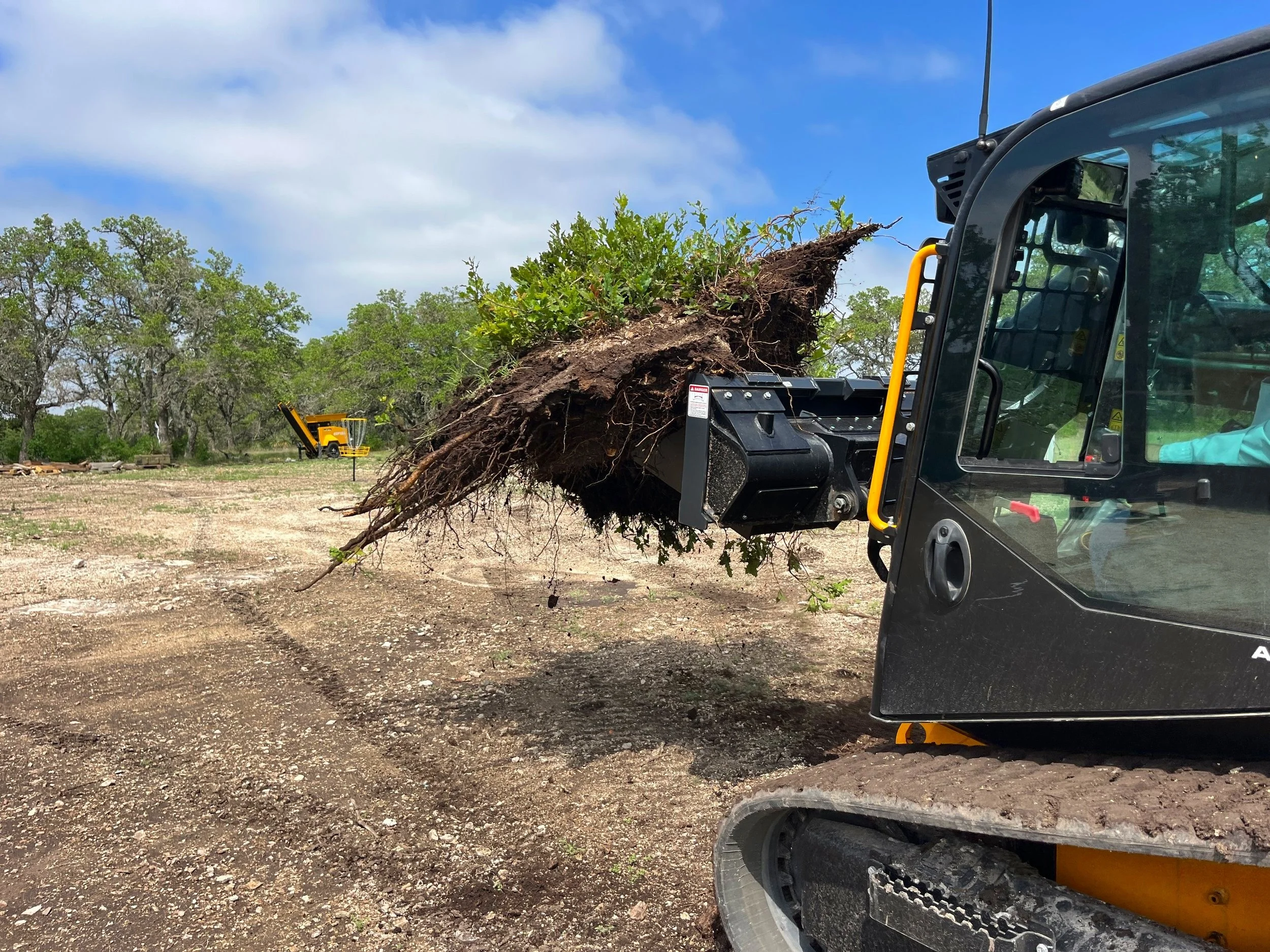 A compact excavator lifting a large uprooted tree with roots and soil attached, in a dirt clearing with trees in the background.