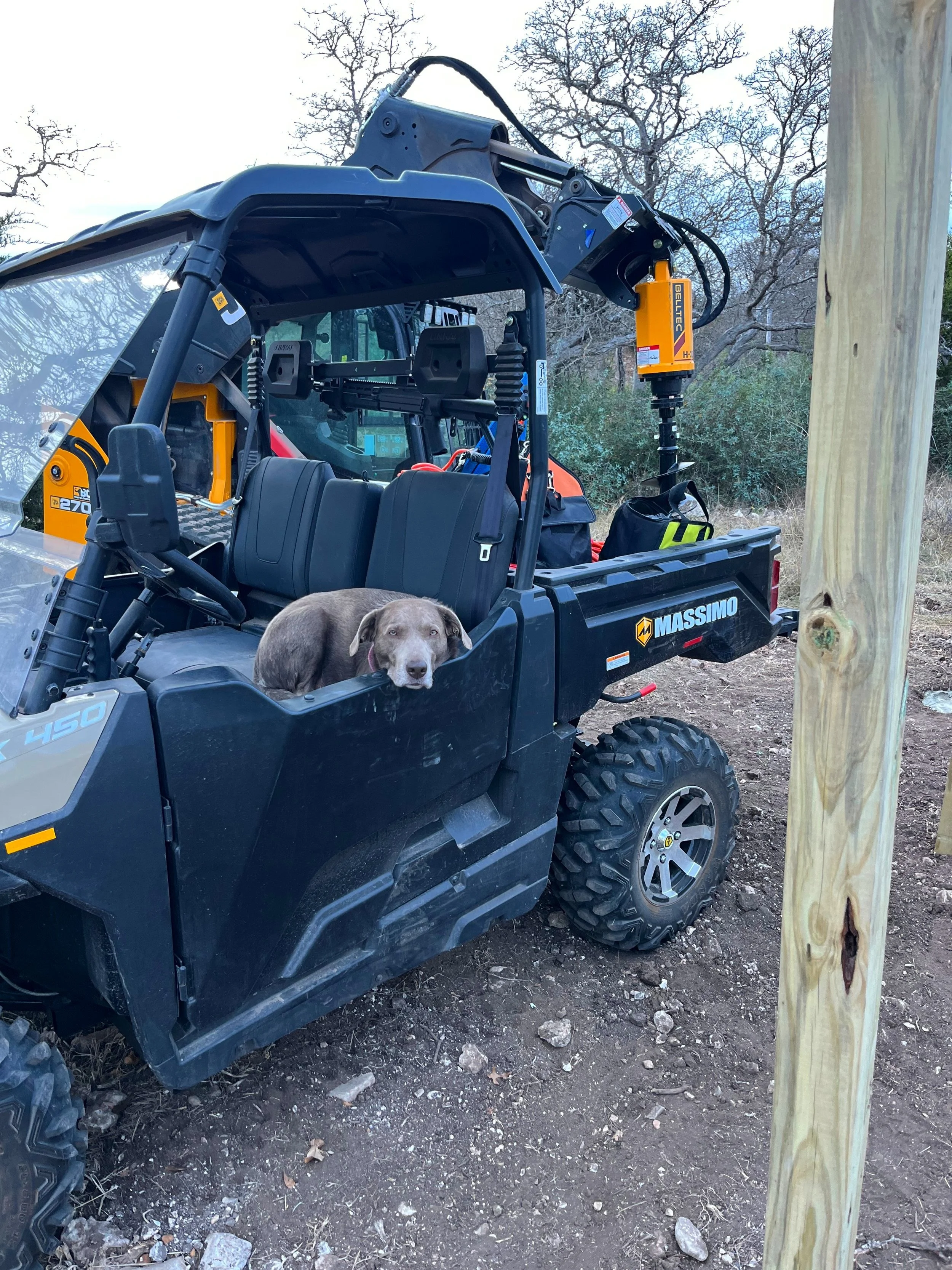 A dog sitting in the bed of a black utility vehicle near a wooden post, with trees and an overcast sky in the background.