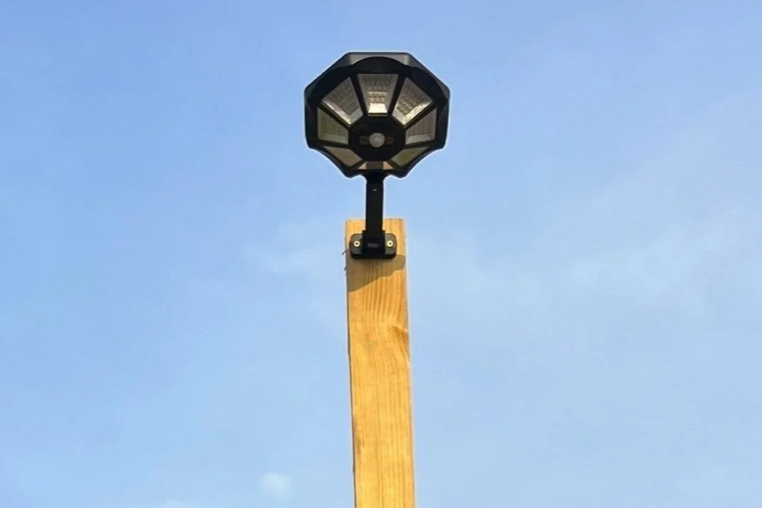 A streetlight mounted on a wooden pole against a blue sky with a tree in the background.