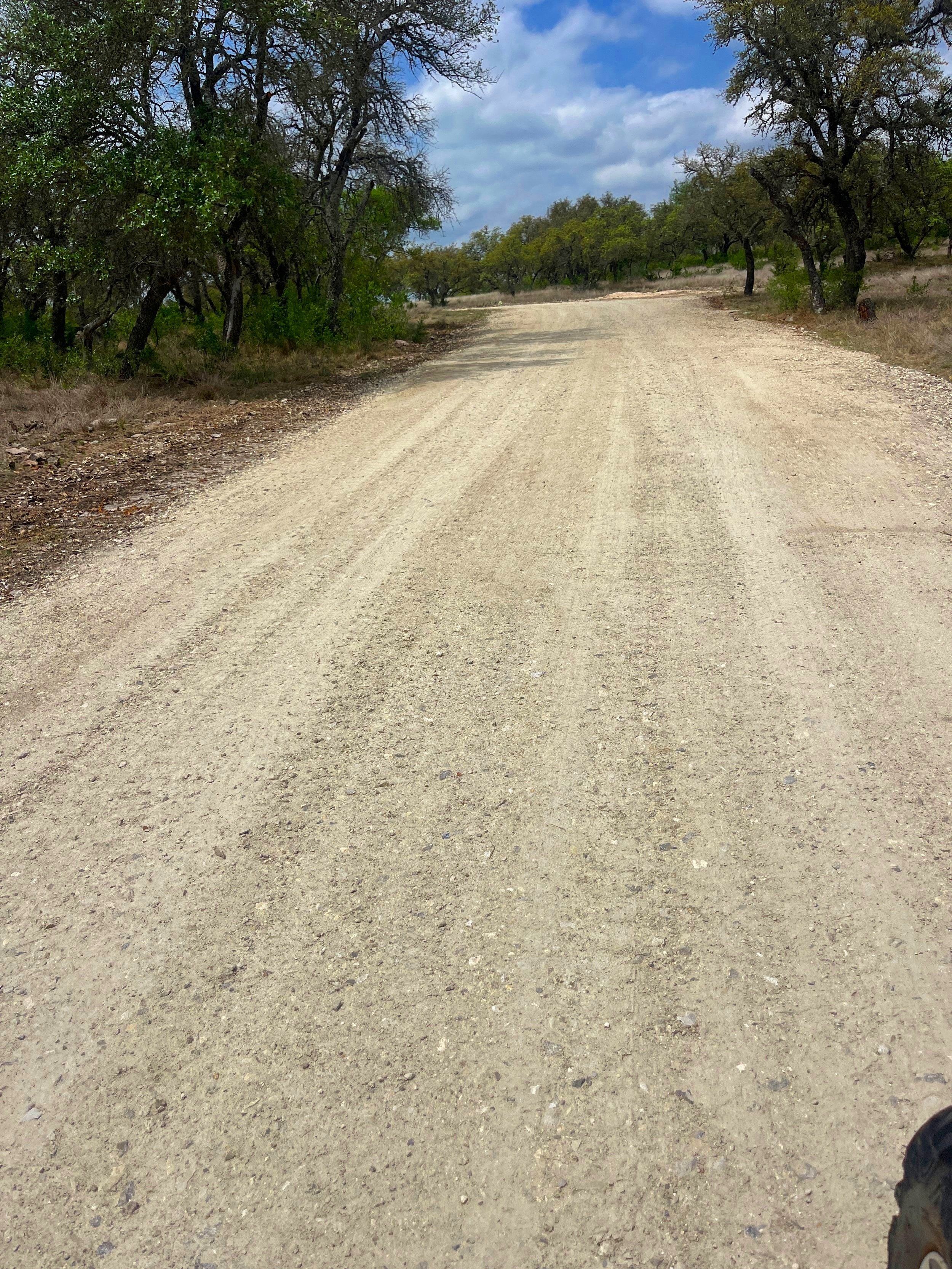 A dirt road running through a semi-arid area with sparse trees on each side, under a partly cloudy sky.
