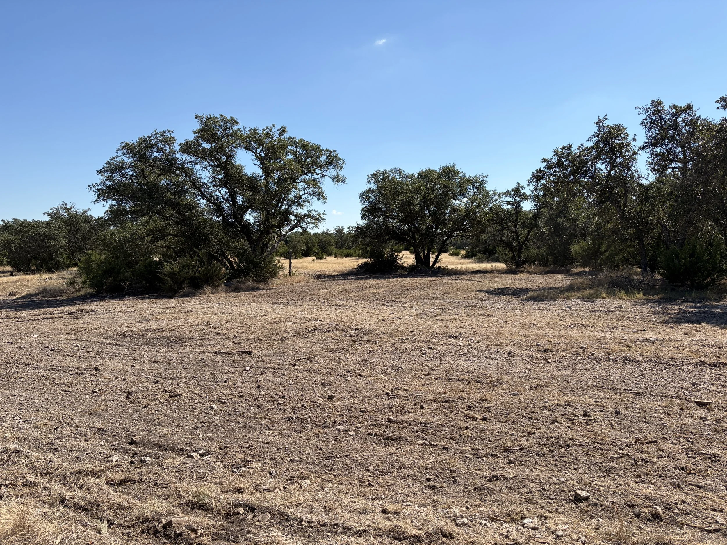 LAND CLEARING