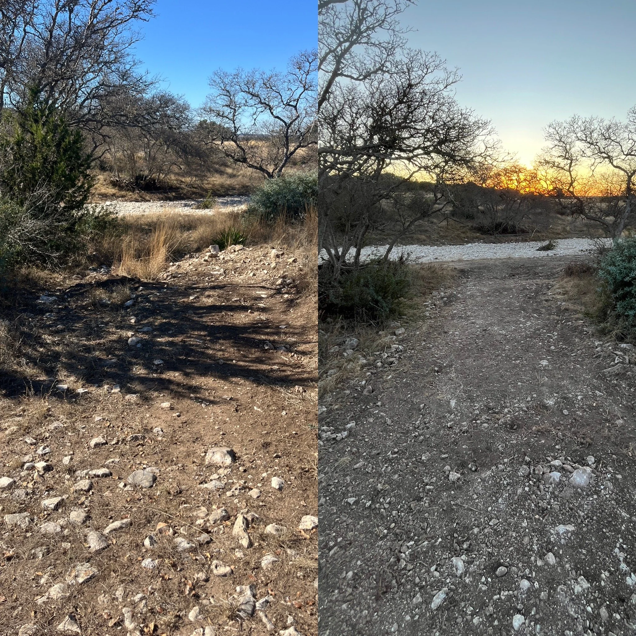 Split view of a dirt trail in a dry, leafless forest at different times of day; left side shows bright daylight, right side shows sunset with a glowing sky.
