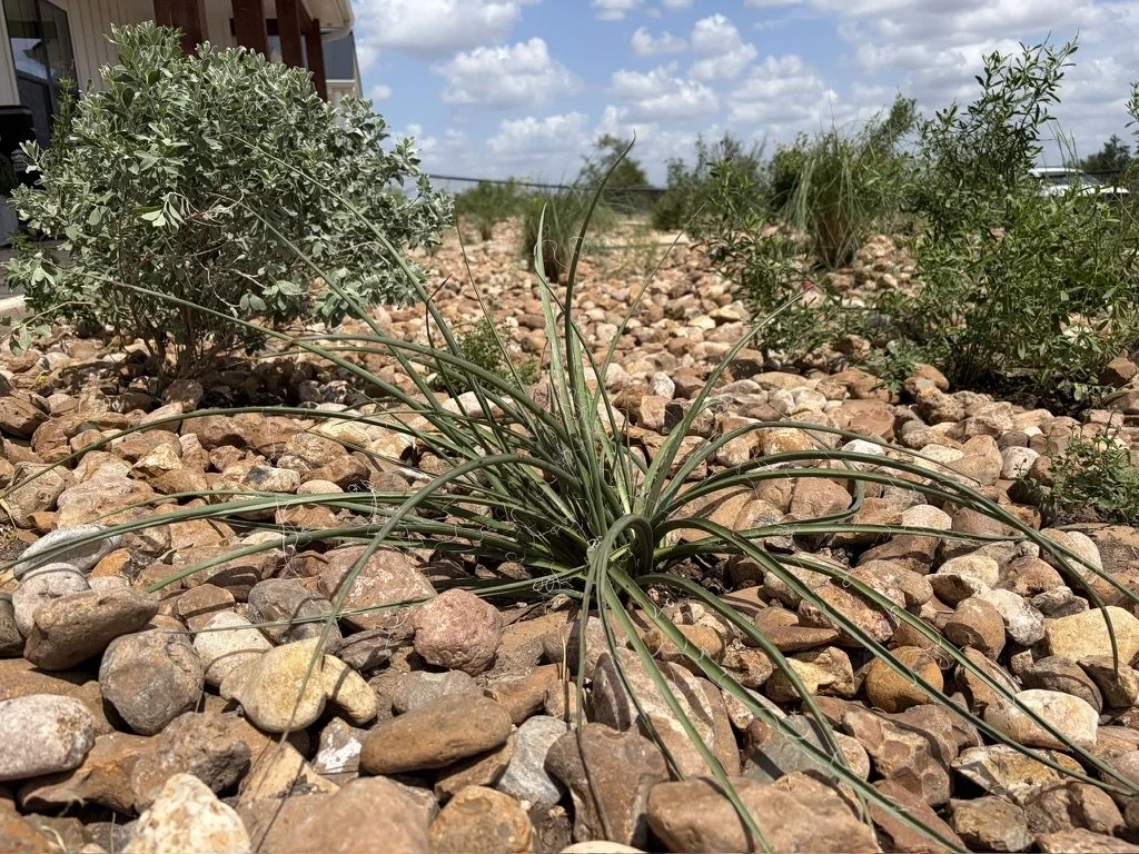 LANDSCAPING 