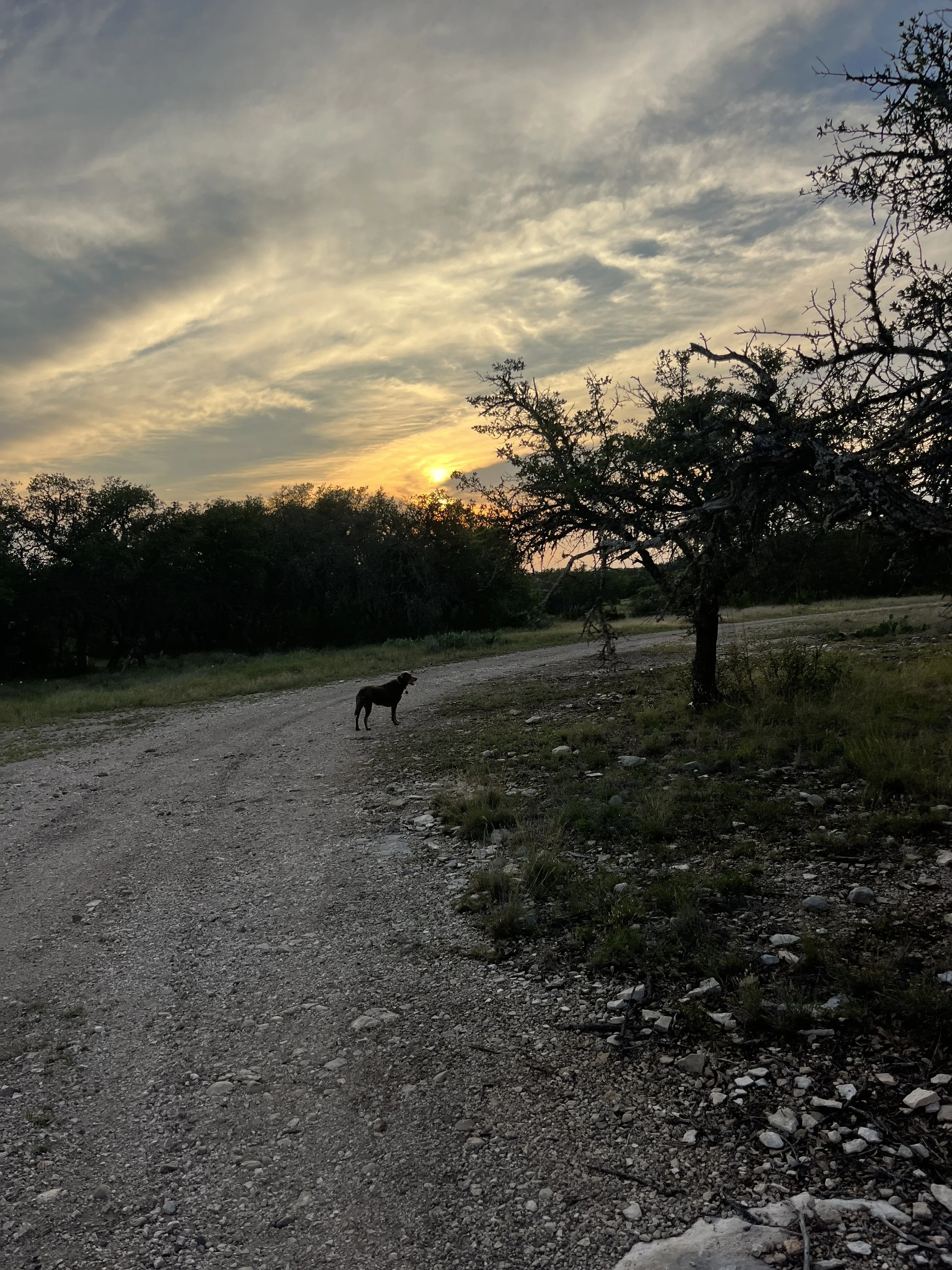 IMG_5670.jpeg