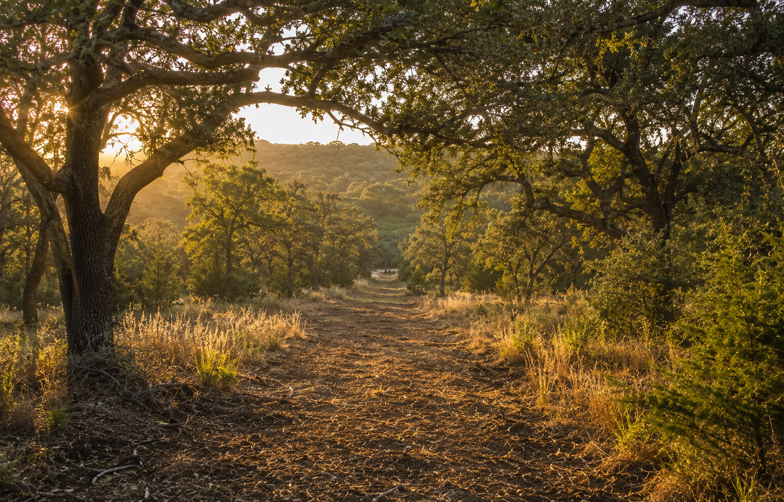 Hunting Lanes & Recreational Areas