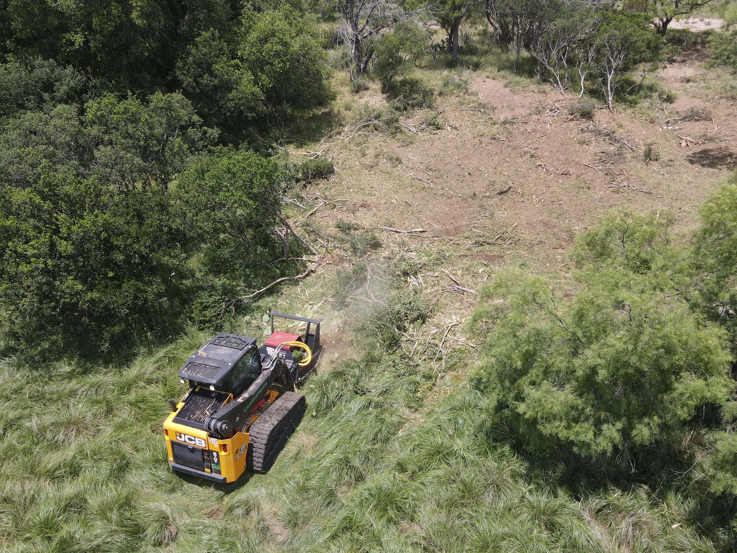 LAND CLEARING