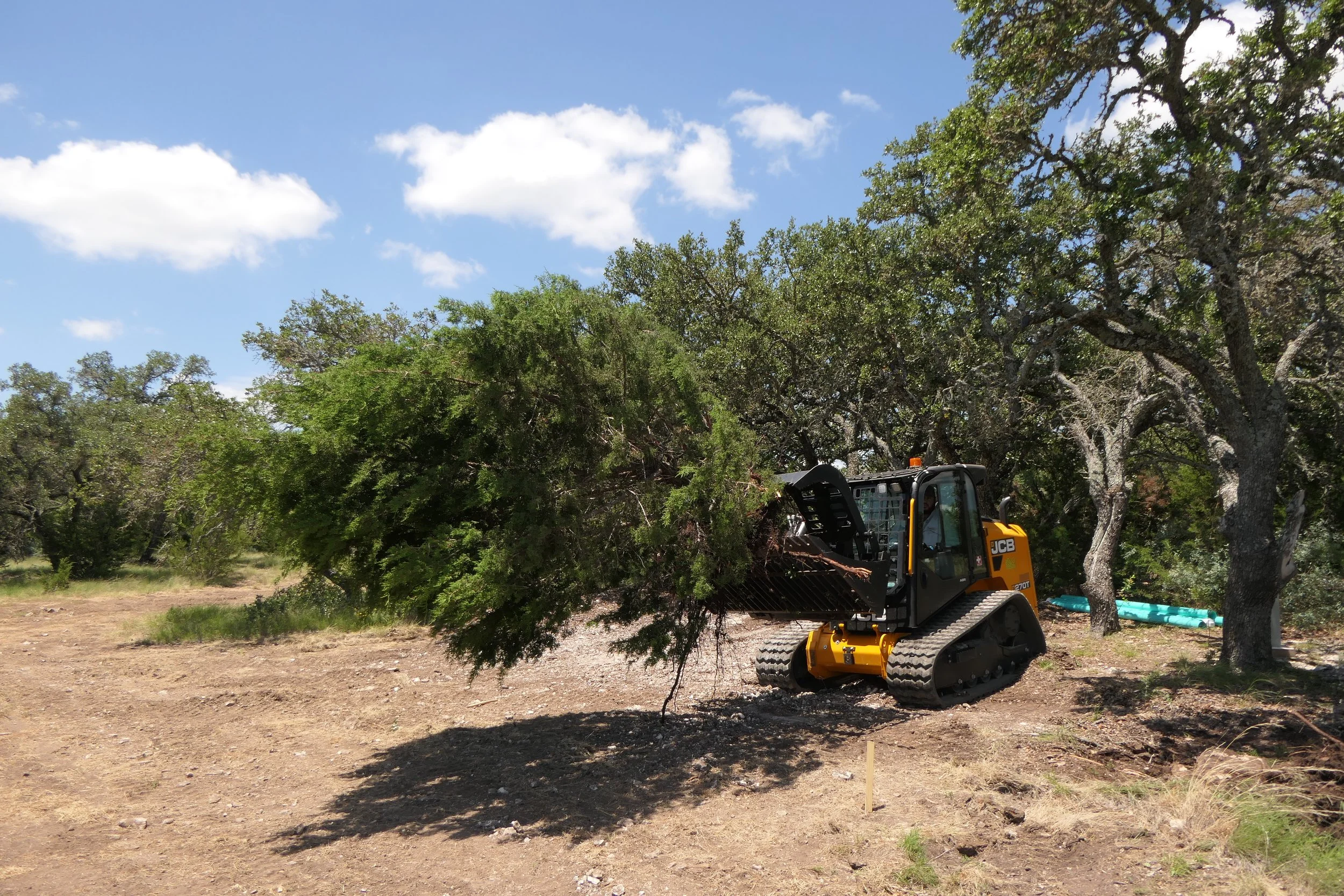 LAND CLEARING